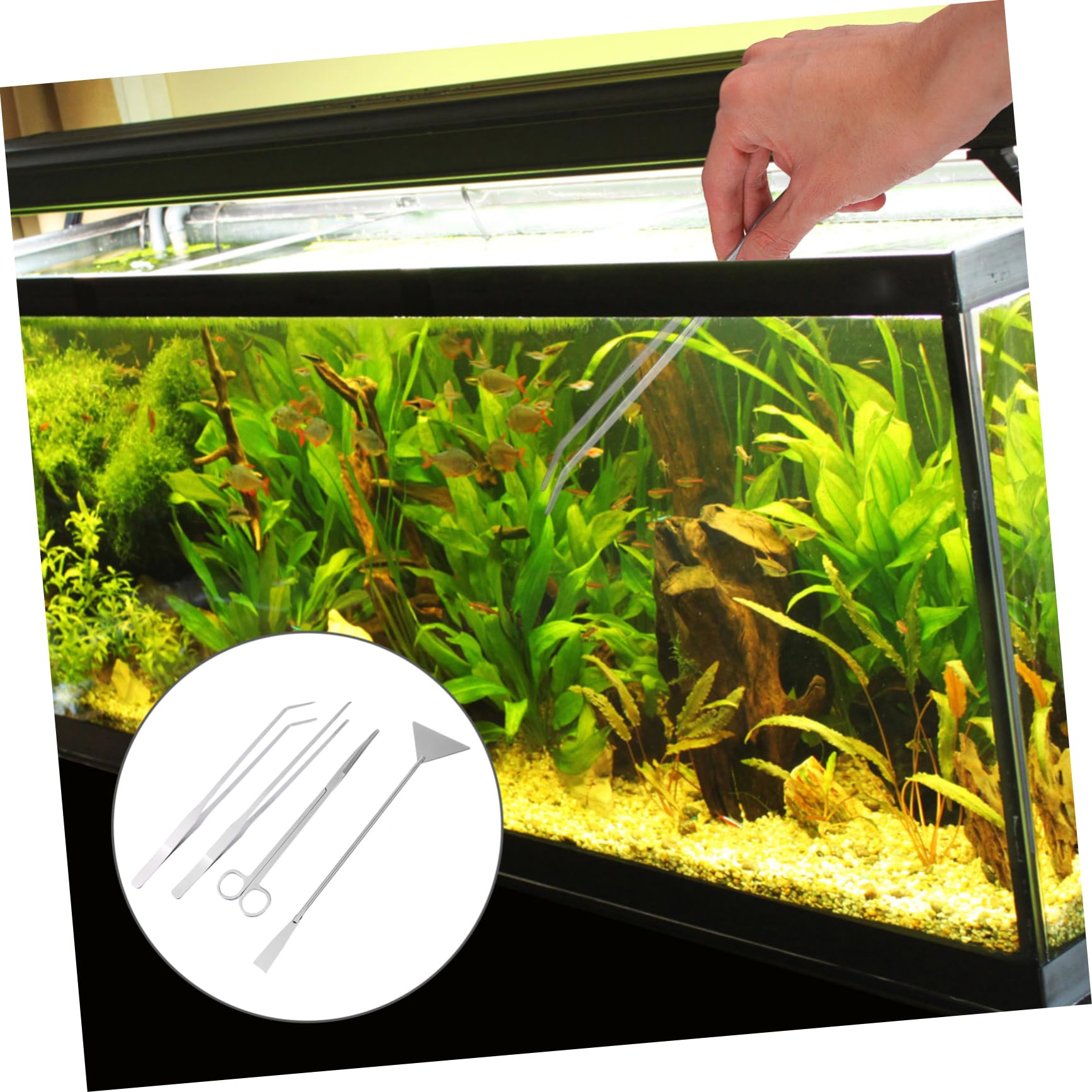 Juego de Herramientas para Acuario de Acero Inoxidable, 1 Set | Tijeras, Pinzas y Espátula, Acabado Plata, para Grava y Plantas Acuáticas