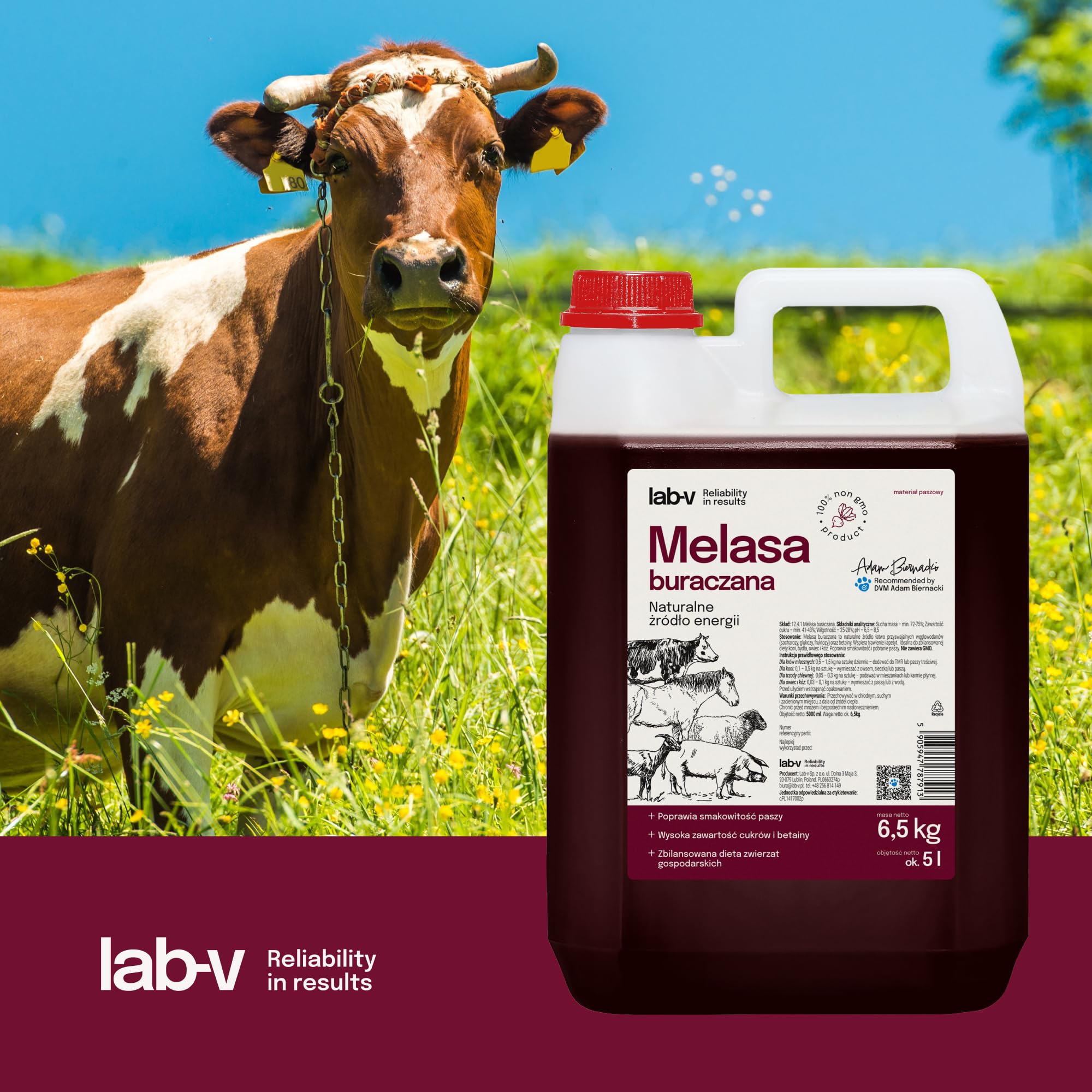 Lab-V Melaza de remolacha azucarera 5 L (6,5 kg aprox.) – pienso para caballos, bovinos, ovinos, cabras y cerdos – Melaza líquida para complemento alimenticio