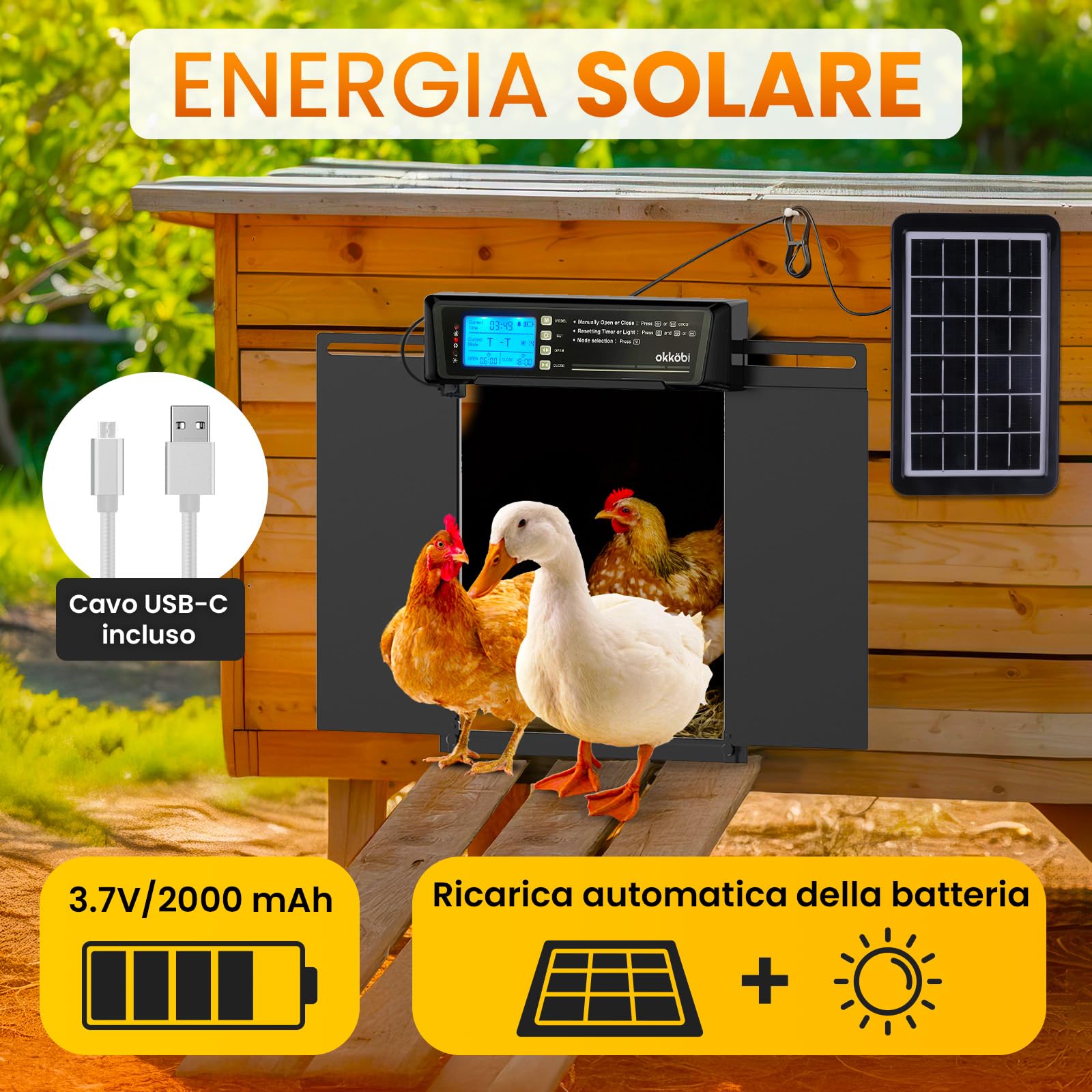 Porta Automatica Pollaio Extra Large Solare – Display LCD, Telecomando, Sensore di Luce, Timer & Funzione Antipizzicamento – Apertura 28,7 x 22,1 cm – Protezione 5 Anni – Nero - Okköbi