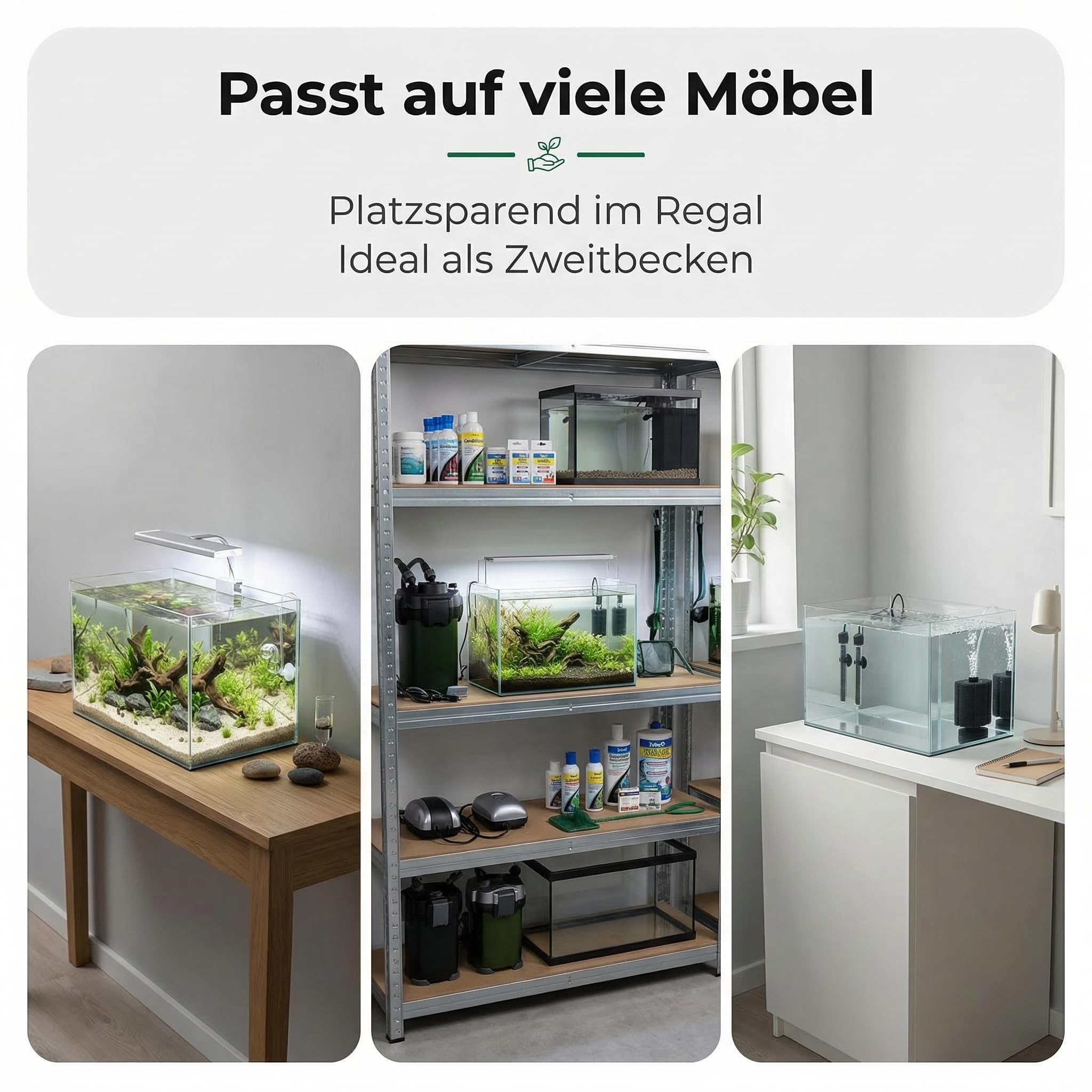 Pondlife Aquarium 30x20x20 cm, 12 Liter Glasbecken ohne Rahmen, 4 mm Floatglas, geschliffene Kanten, Süß- und Salzwasser geeignet, mit Unterlage