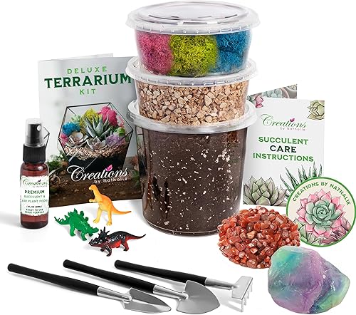 Kit de terrario pequeño de alta calidad para suculentas, cactus y plantas de aire, incluye tierra, musgo, guijarros, herramientas, gema de amatista