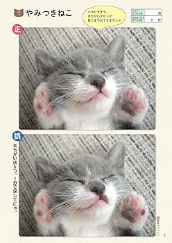 ちみ様 ご相談ページ チワワ集合ーーーーー🙌 | ペットプラザ｜仔犬・仔猫の生体販売