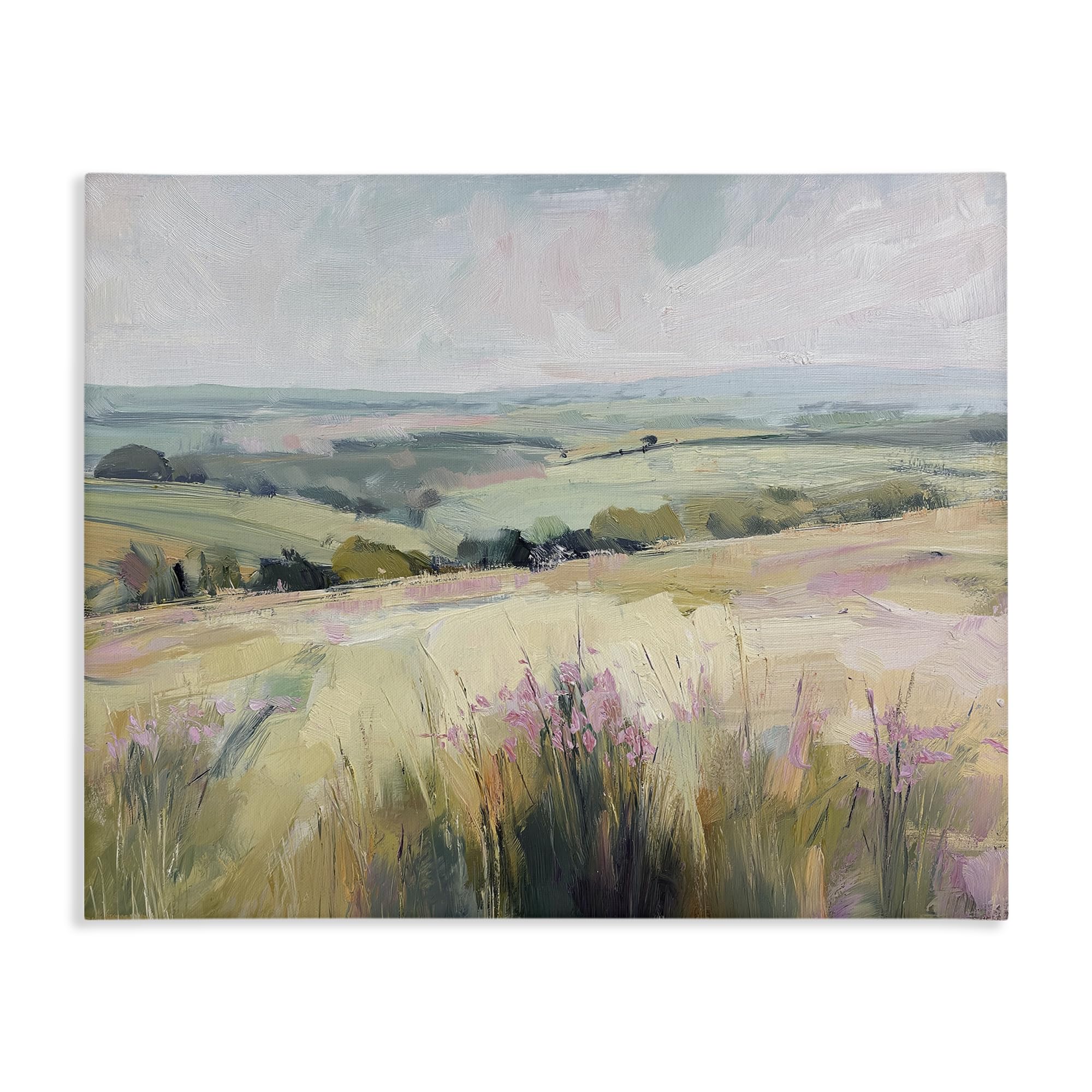 Stupell Industries Summer Meadow Viewpoint 'Summer Meadow Viewpoint'| Canvas Art
