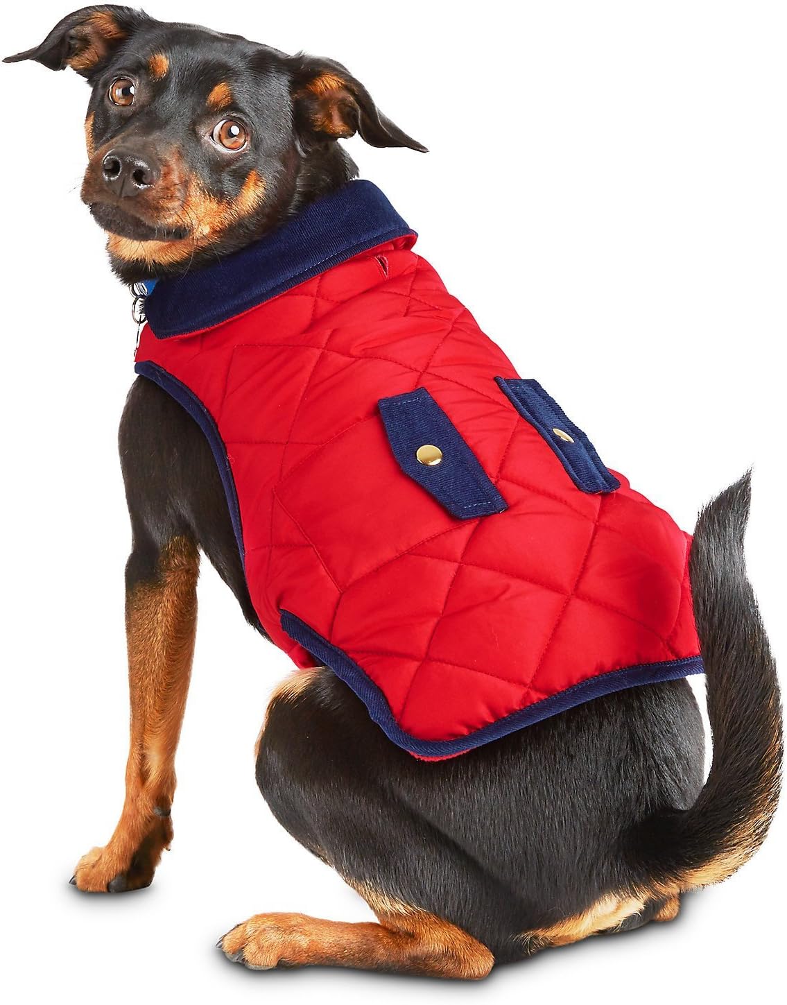 Pup crew dog apparel Clearance