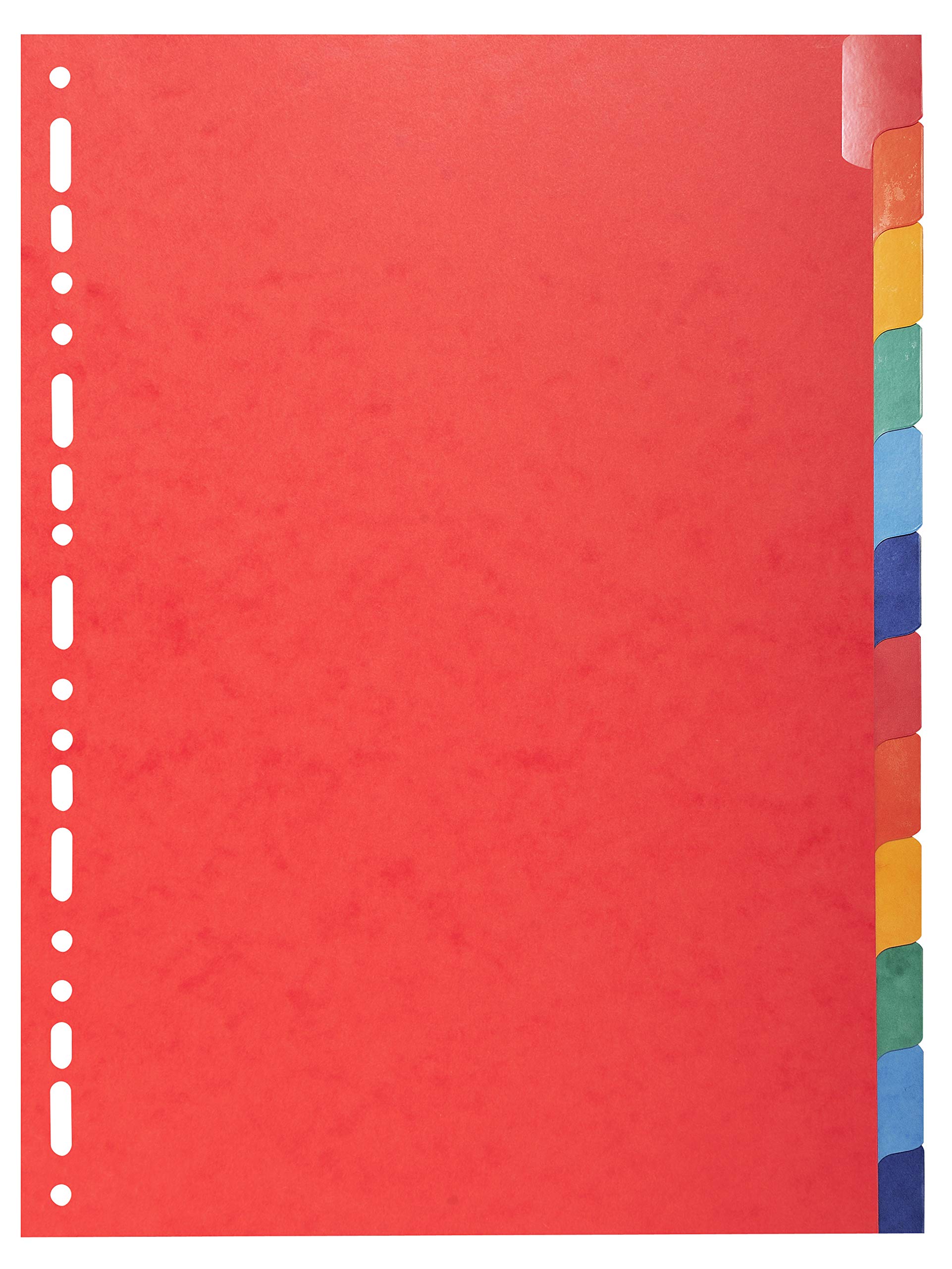Exacompta Divisori A4, 225 g/mq, 12 pezzi, multicolore