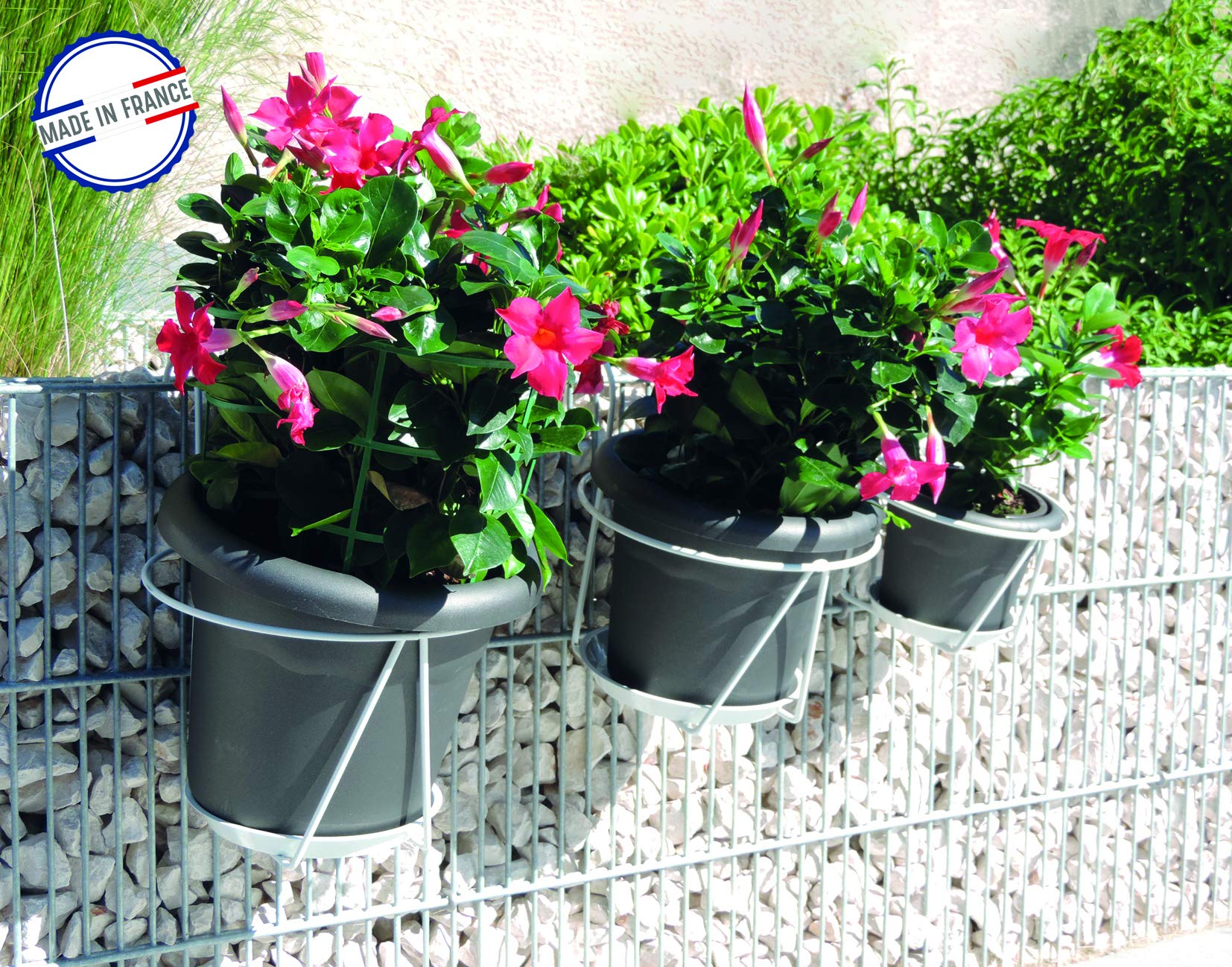 Soucoupe Pot De Fleur Patrol Surfinia Blanc Au Meilleur Prix En Tunisie