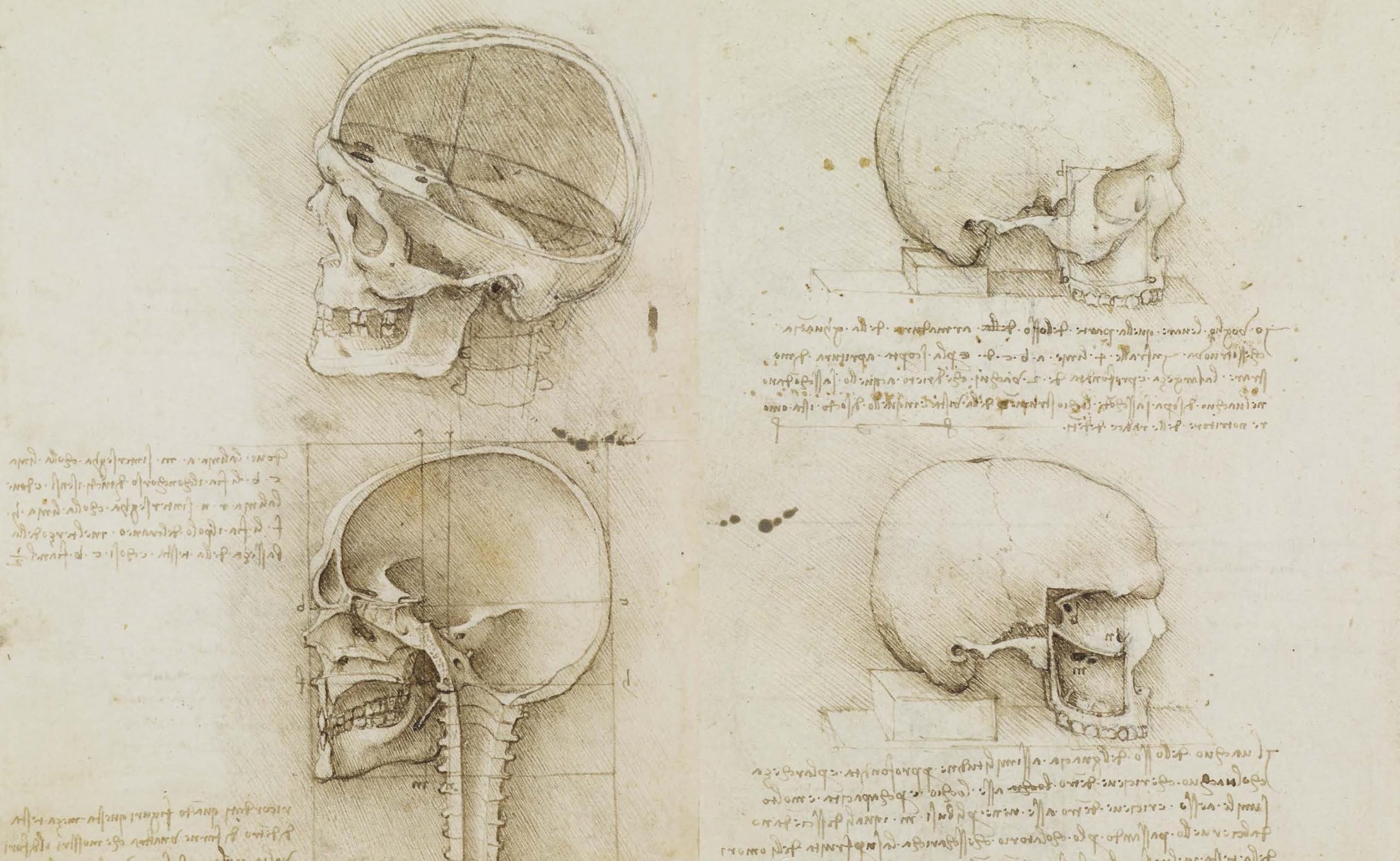 Leonardo da Vinci. Atlas anatomicus. The Royal Collection Windsor. Ediz. italiana e inglese