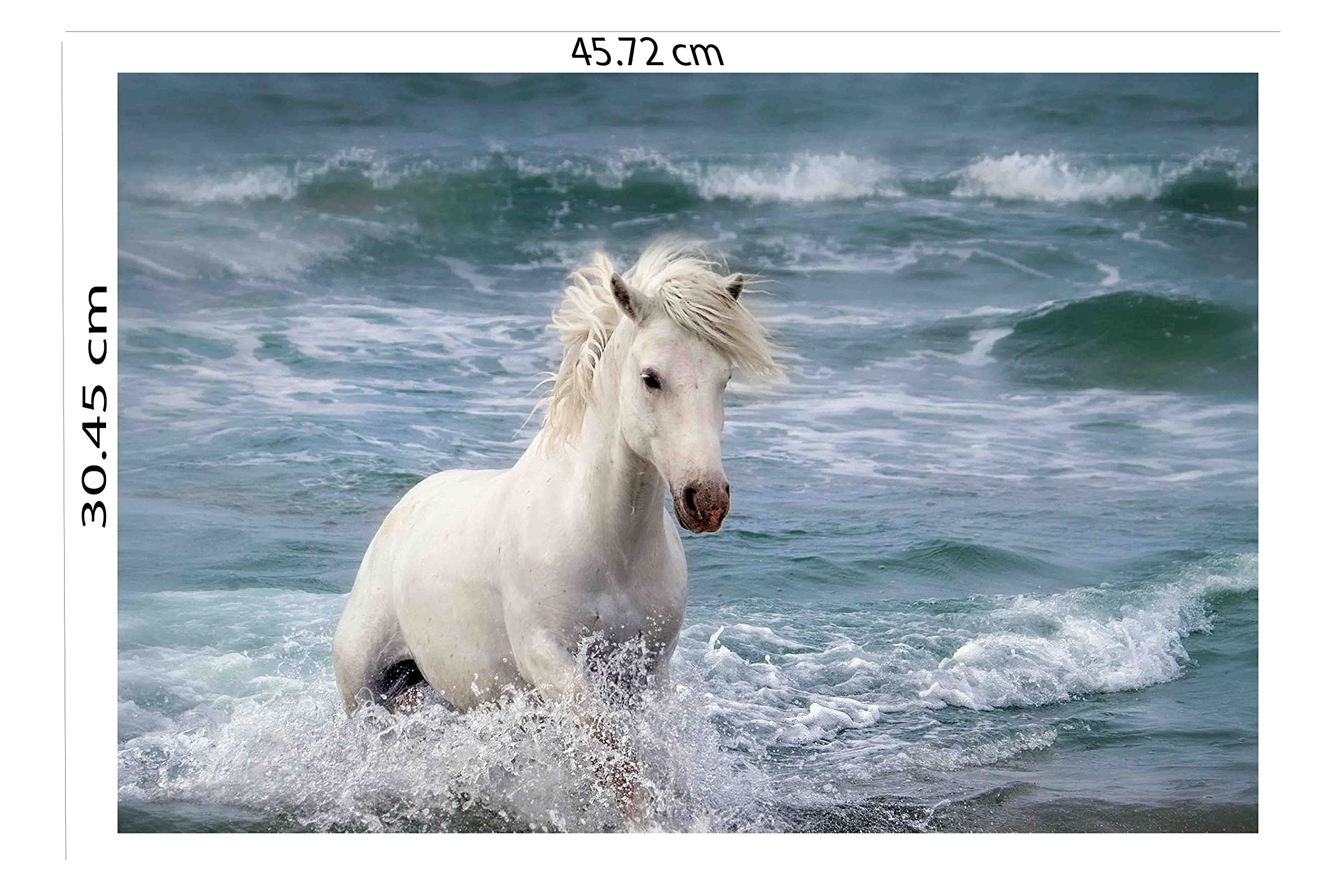 ホワイトホース　額縁white horseポスターブランデー ポスター White Horse Sticker Poster|White Horse Stand in Water Wall Sticker