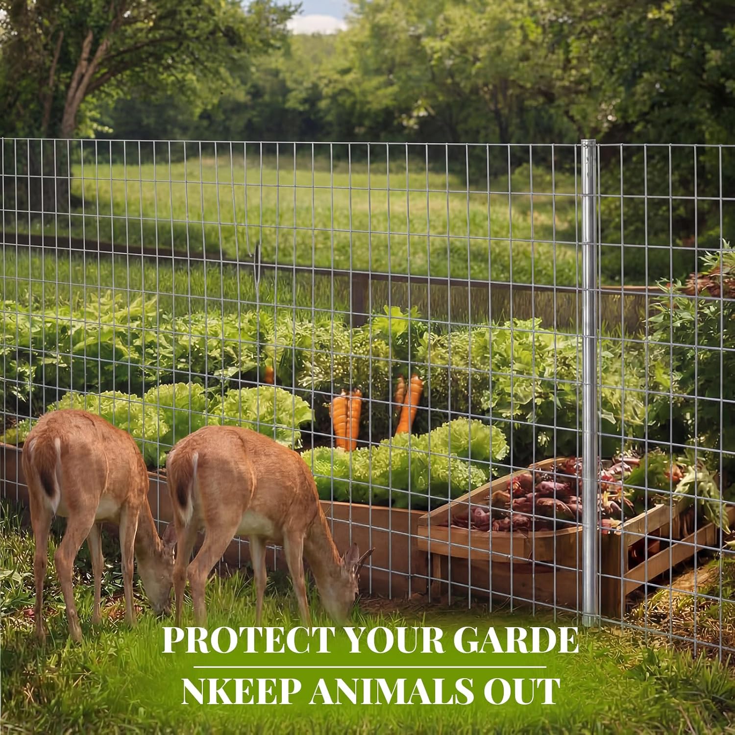 Gisafai 36in x 100ft Welded Wire Fence, 2 Inch x 4 Inch 16 GA, Galvanized Metal Garden Fence Roll Wire Mesh Netting for Goat Deer Cattle Animal Enclosures and Yard Vegetable Plant Protection,Silver