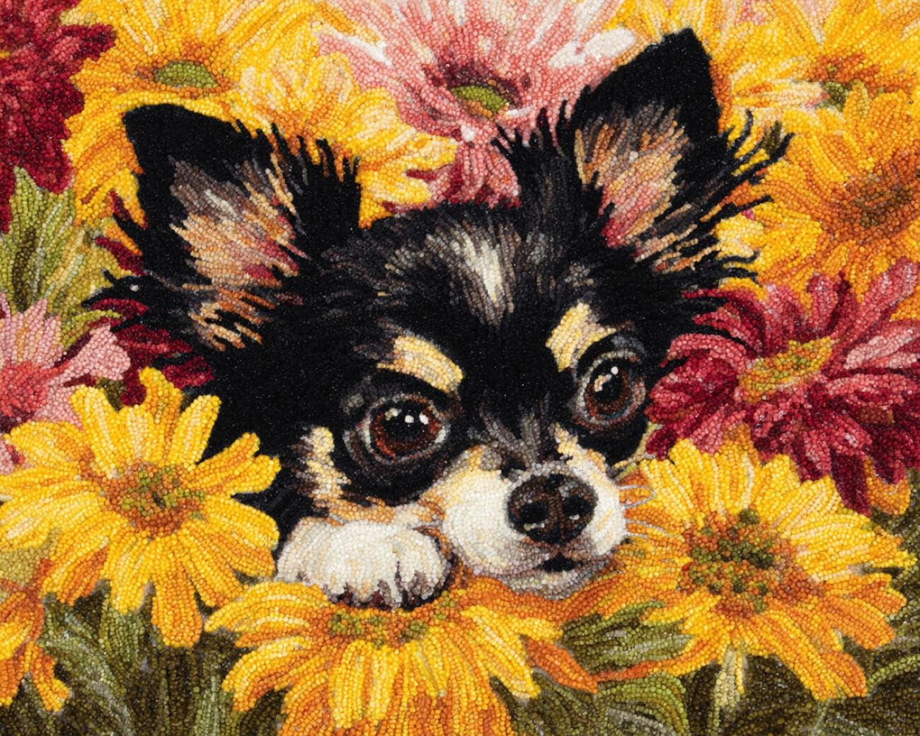 AMBATTERY Latch Hook Kits Carpet Chihuahuas and Flowers 60x40cm