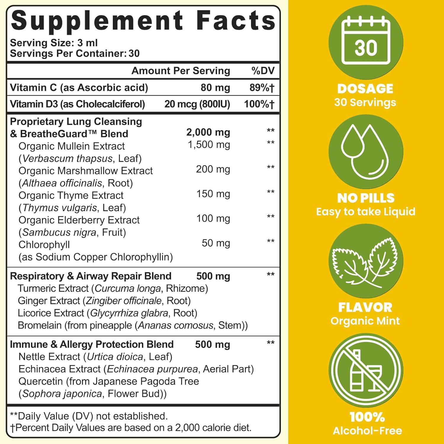 Mullein Drops For Lungs, Liposomal 14 In 1 Mullein Leaf Extract For Lungs, Mullein Drops with Elderberry, Chlorophyll, Thyme - for Lung Cleanse, Detox, Respiratory, Immune Health, 3 Fl 0Z, Mint Flavor - Image 2