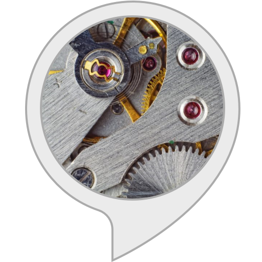 Amazon.in Mechanical Watch Ticking Alexa Skills