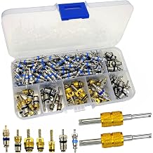 132Pcs Air Conditioning Valve Core Accessories Kit, A/C R410/R32/R22 R134a Refrigeration HVAC Valve Cores Repair Kit with Double Head Dual Dismantling Remover Installer Tool Assortment Kit