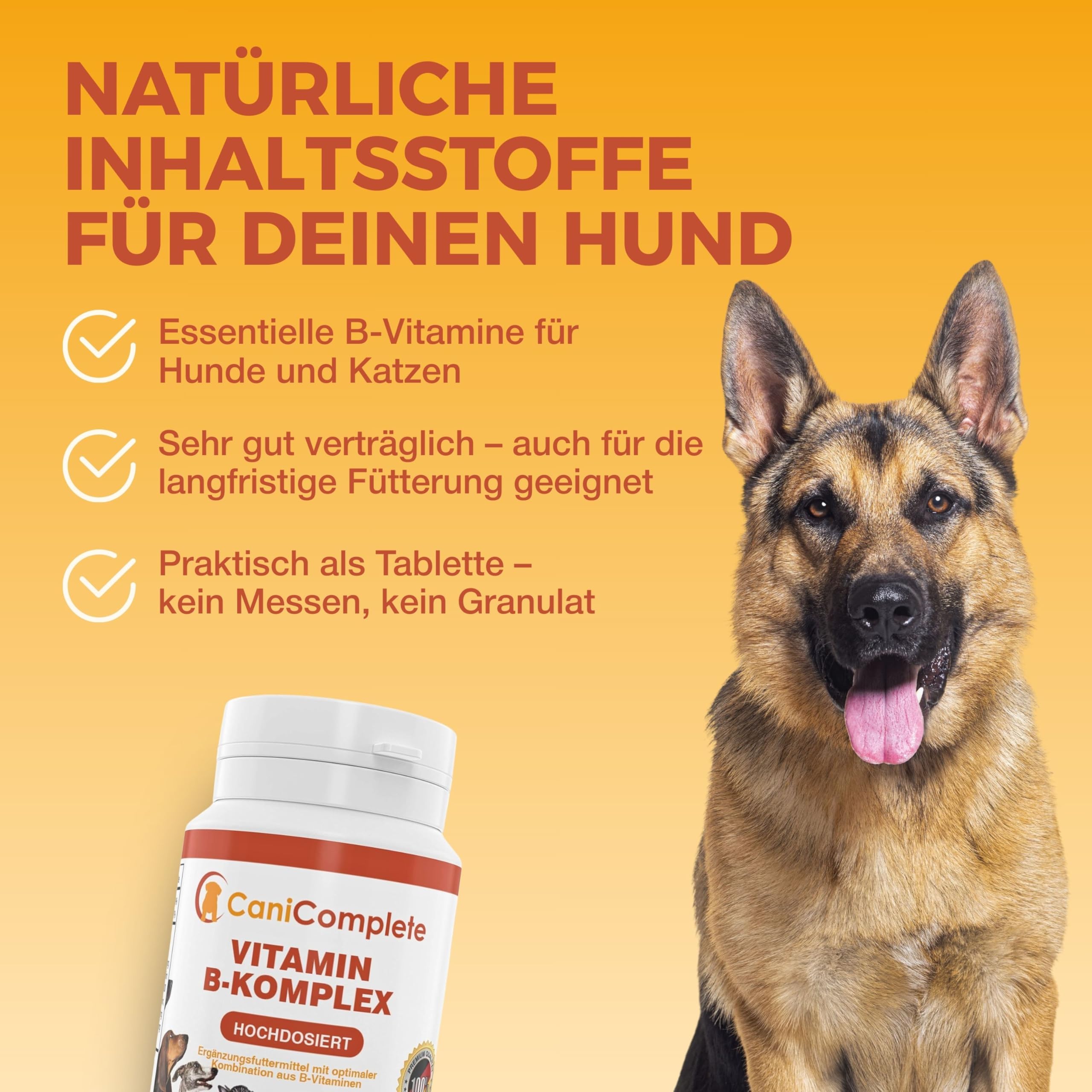 Vitamin B Komplex Hund – Mit B1, B2, B3, B5, B6, B9, B12 & – Multivitamin für Energiestoffwechsel, Nerven & Vitalität – Made in Germany