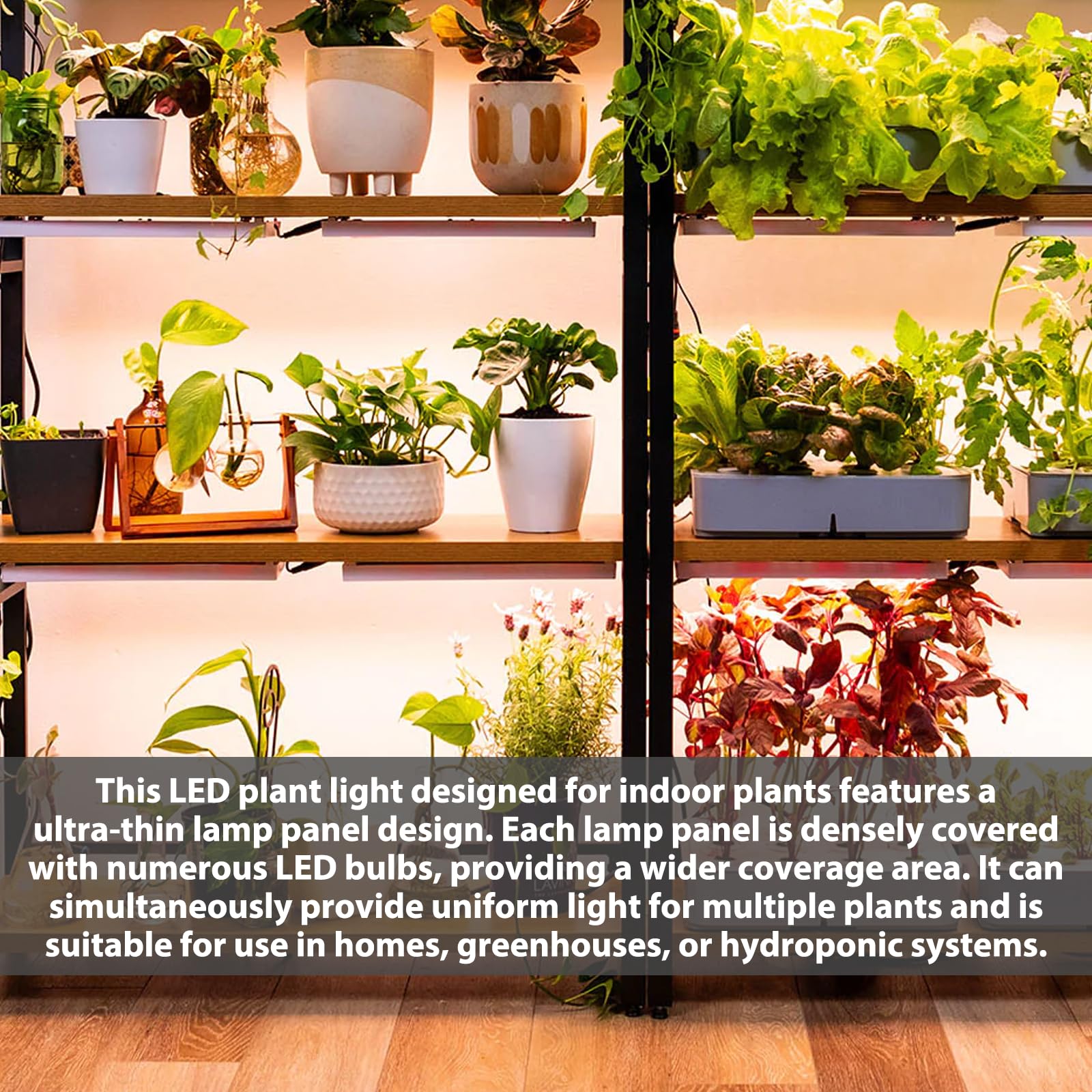 Lámpara LED de espectro completo para plantas (4 unidades, luz LED para plantas con temporizador, lámpara LED para plantas de interior, lámpara UV de crecimiento para plantas con 3 modos de