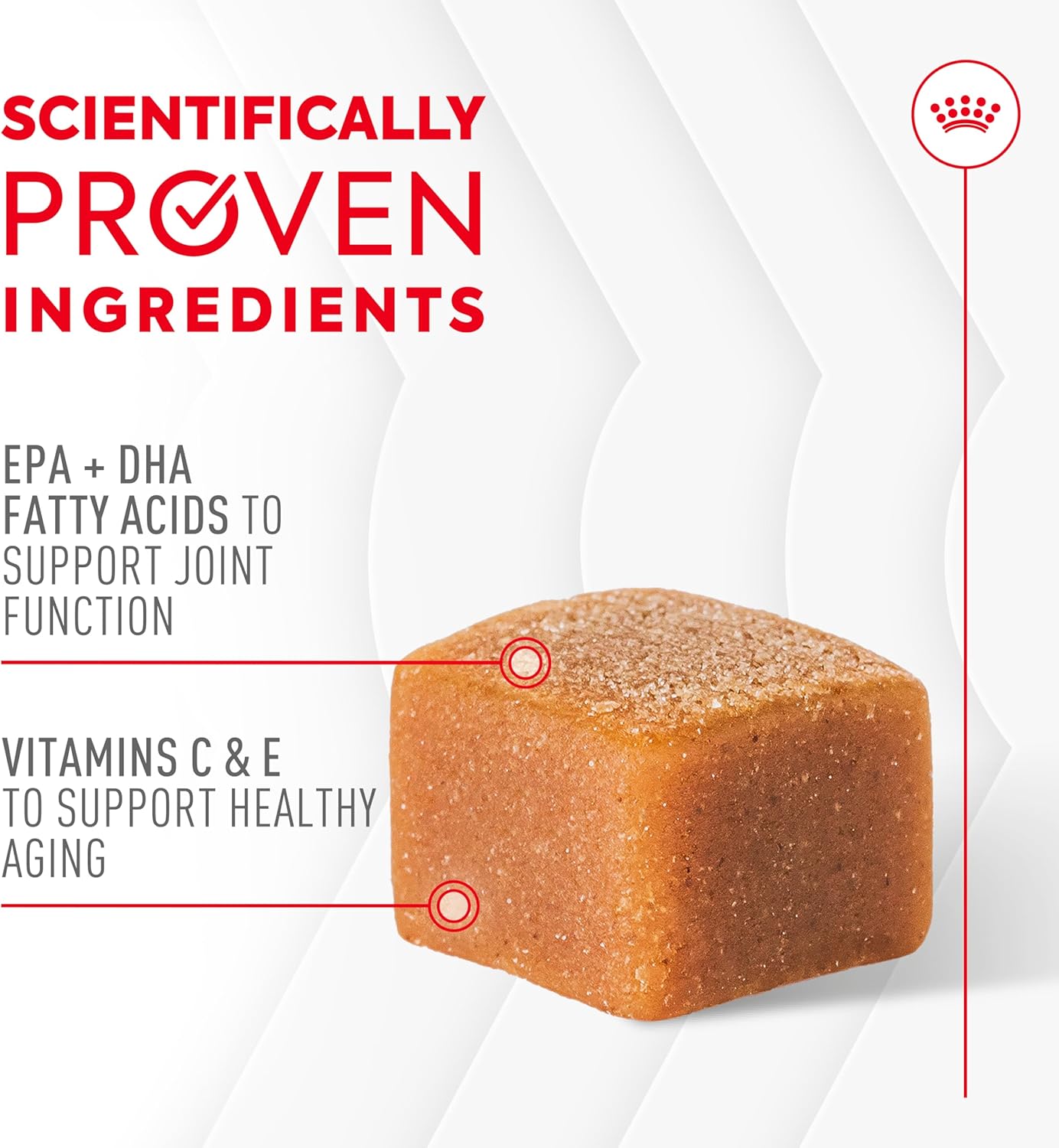 Royal Canin Joint Dog Supplement Soft Chews for Adult Dogs, 60 Count - Image 2