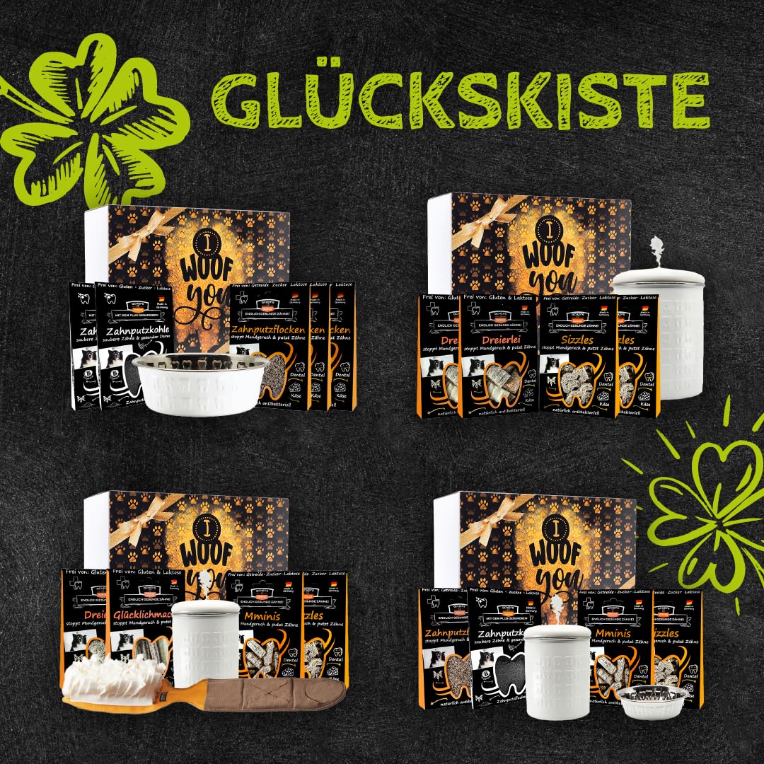 QCHEFS Glückskiste Dose Geschenk Hund Zahnpflege gegen Zahnstein Mundpflege | Mit Natur Zahnpflege, Auch gegen Zahnstein und Entzündungen