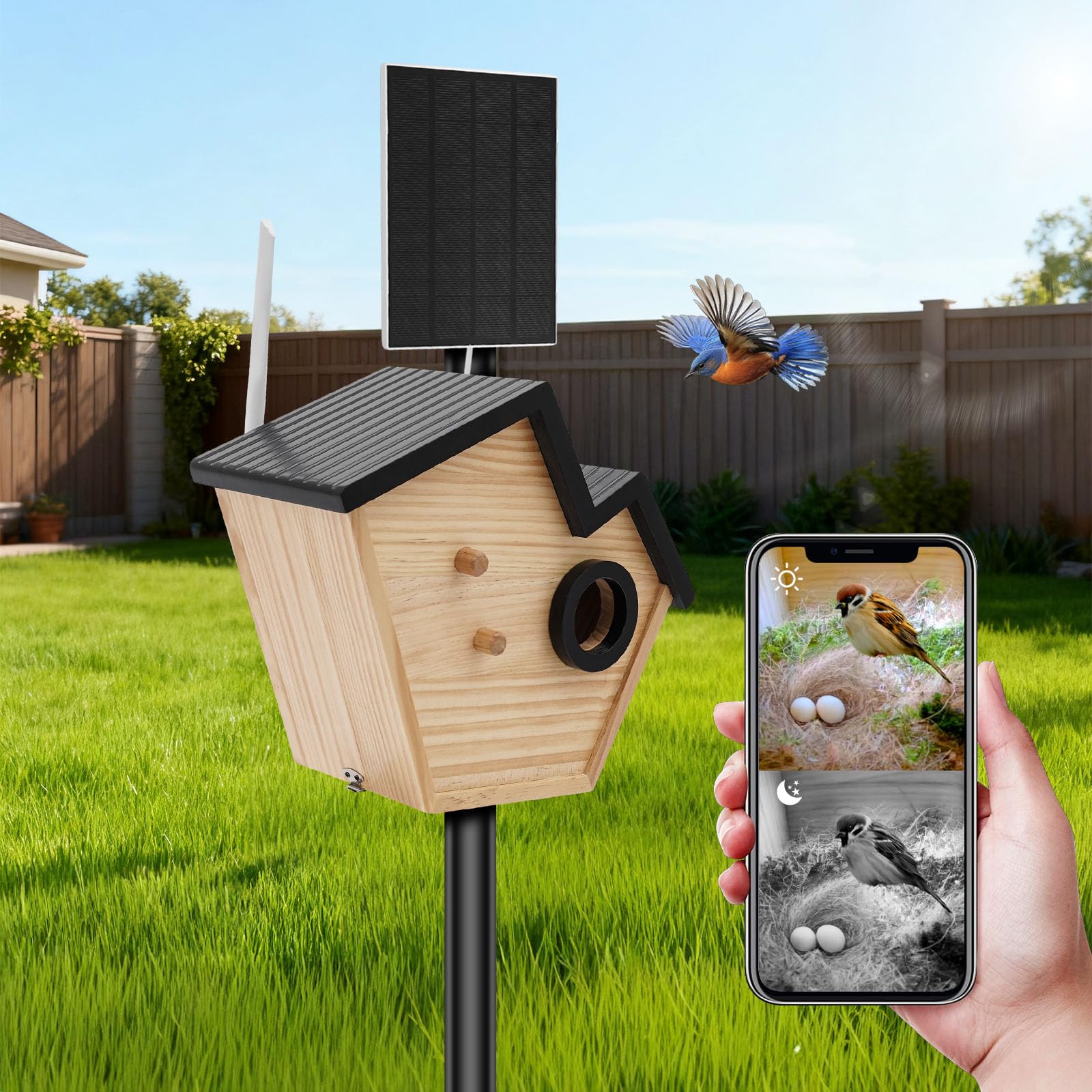 Casetta per uccelli con telecamera e pannello solare, nidificatore con rilevamento di uccelli KI, IP65 resistente alle intemperie, batteria da 4400 mAh, per giardino e balcone