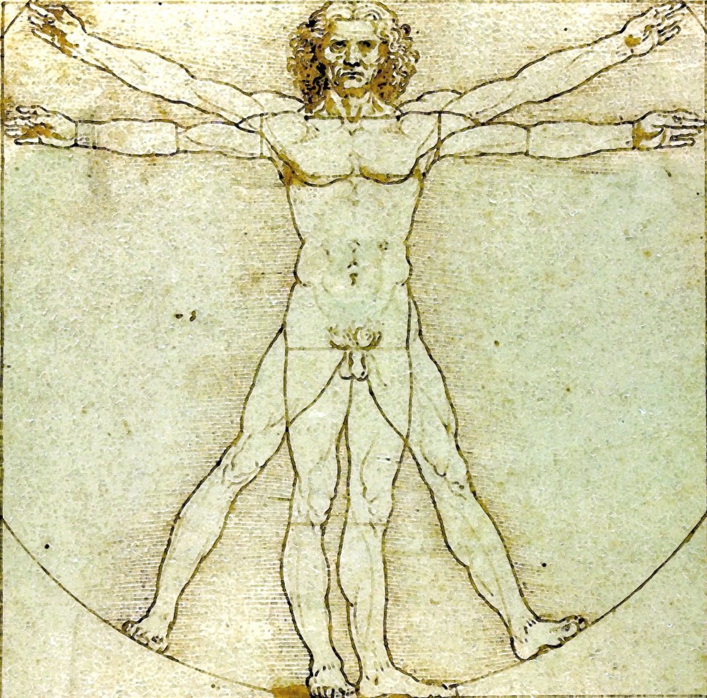 Impression Vitruve de de Vinci grand format mat l'excellence artistique au mur