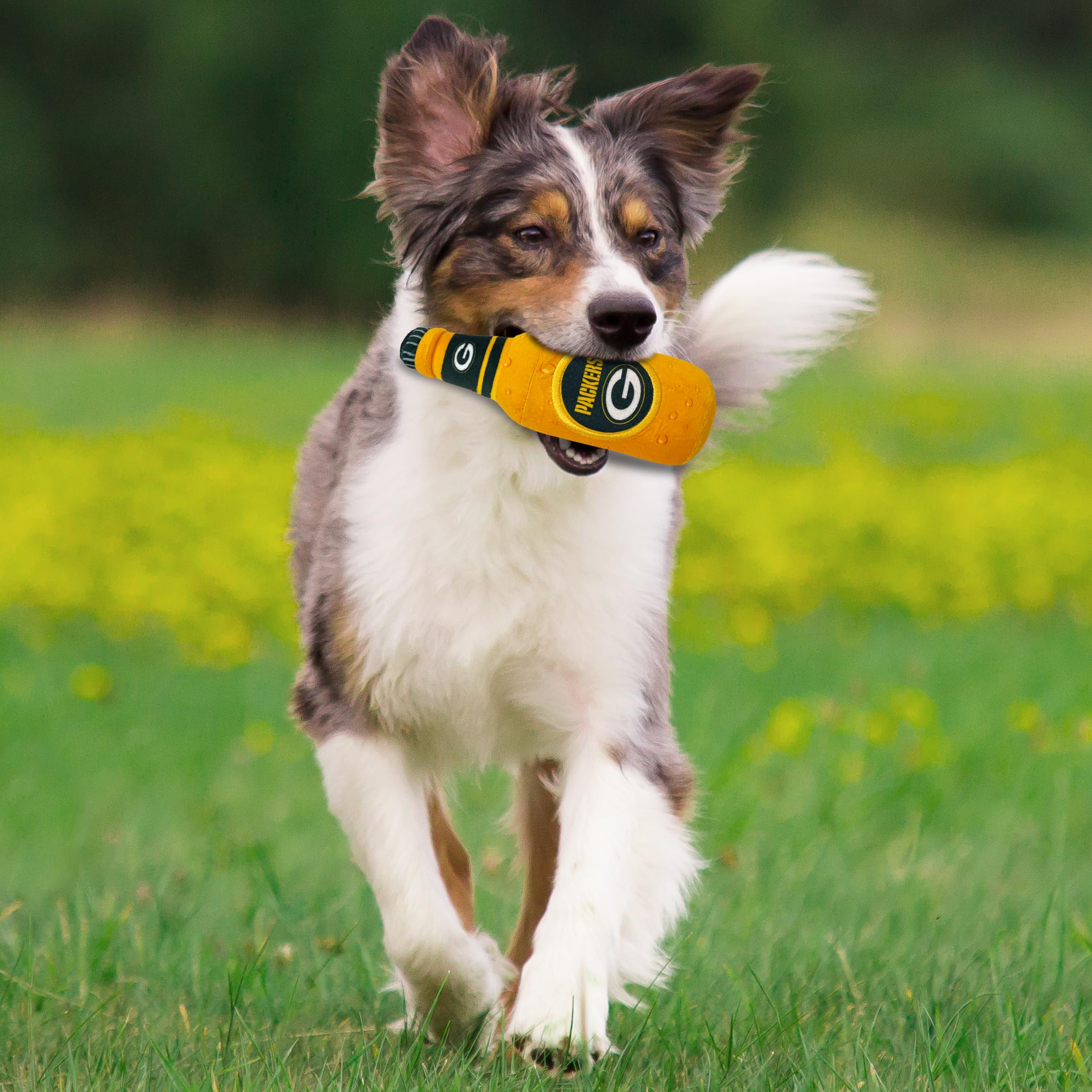 NFL Green Bay Packers - Botella de cerveza de peluche para perros y gatos, juguete de peluche para perros y gatos con chirrido interior y hermoso nombre del equipo de fútbol
