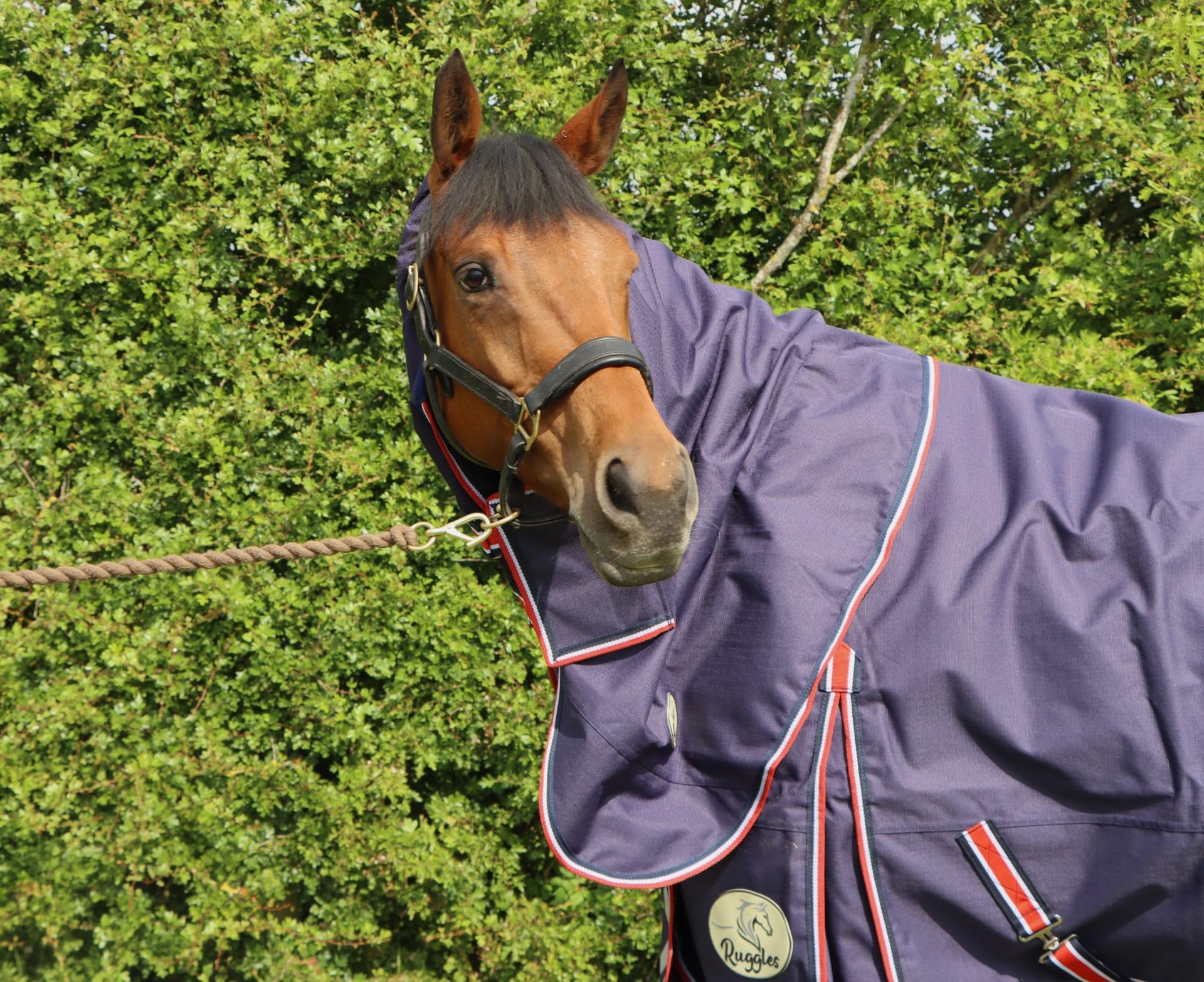 Ruggles 50g Lightweight Turnout NECK COVER for Horse & Pony | Waterproof Windproof Breathable | Durable Teflon Coated 1200D Outer | Soft Anti Rub Lining (Navy, Large)