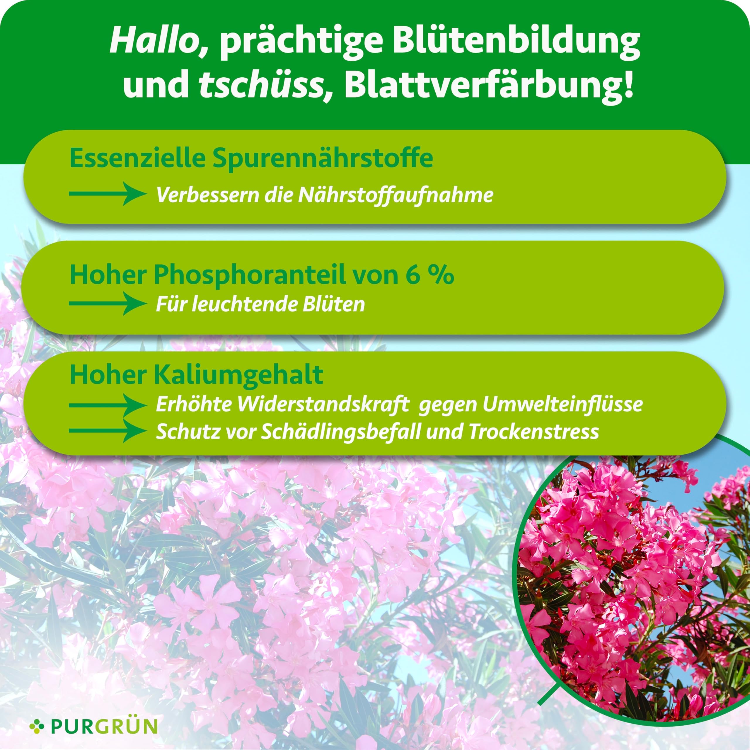 Oleander-Dünger 1 Liter – Prächtige Blüten und gesundes Wachstum – Premium-Flüssigdünger mit Spurennährstoffen – Erhöhte Widerstandskraft dank Kalium – Konzentrat für 200 Liter Gießwasser