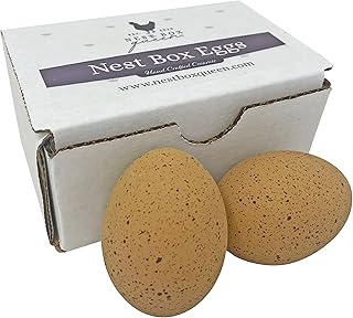Nest Box Queen Ceramic Chicken Nest Eggs for Nest Box Training - 2 Pack (Dark Brown Speckled)