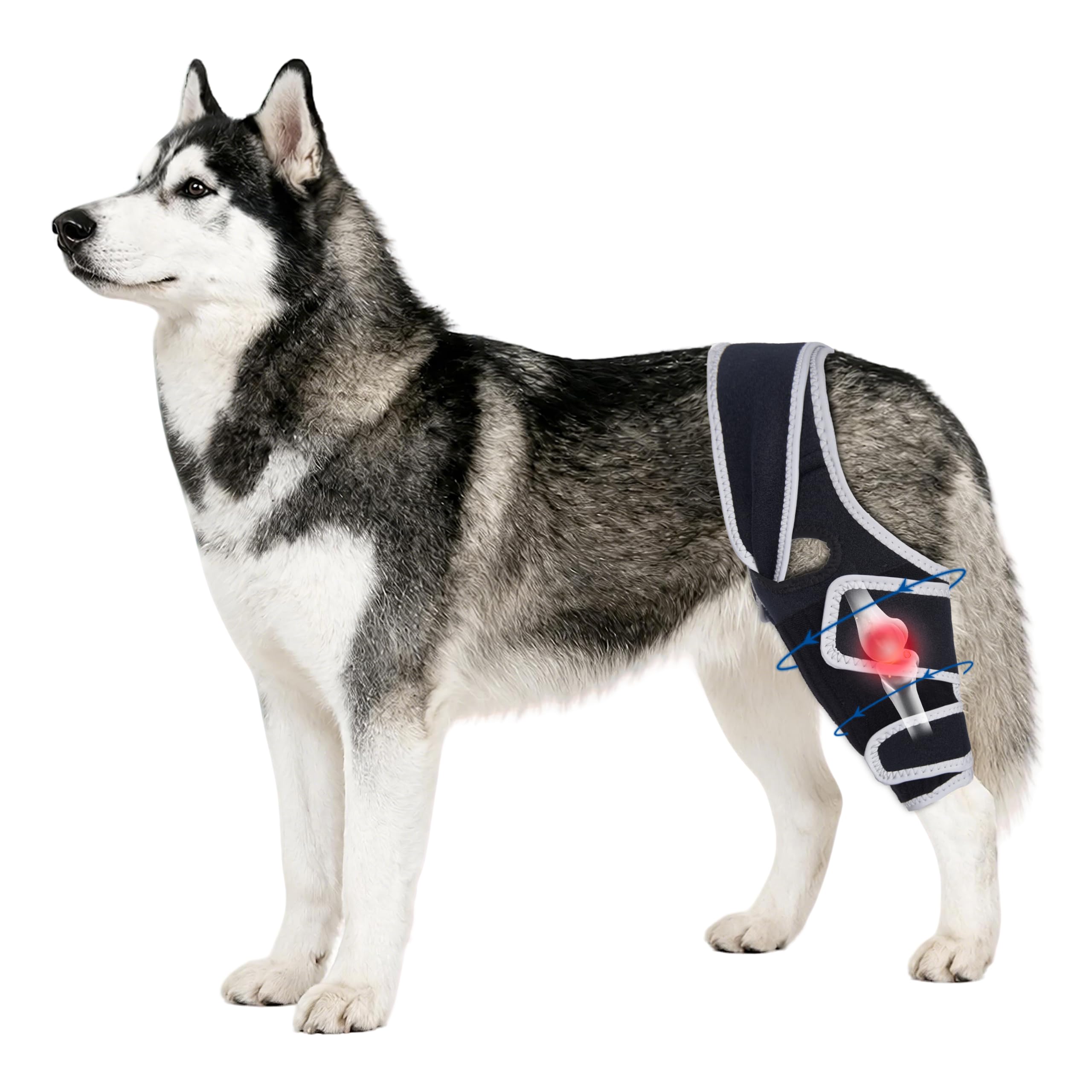 Dog Rear Leg Brace with Side Stabilizer for Left or Right Leg,XL.