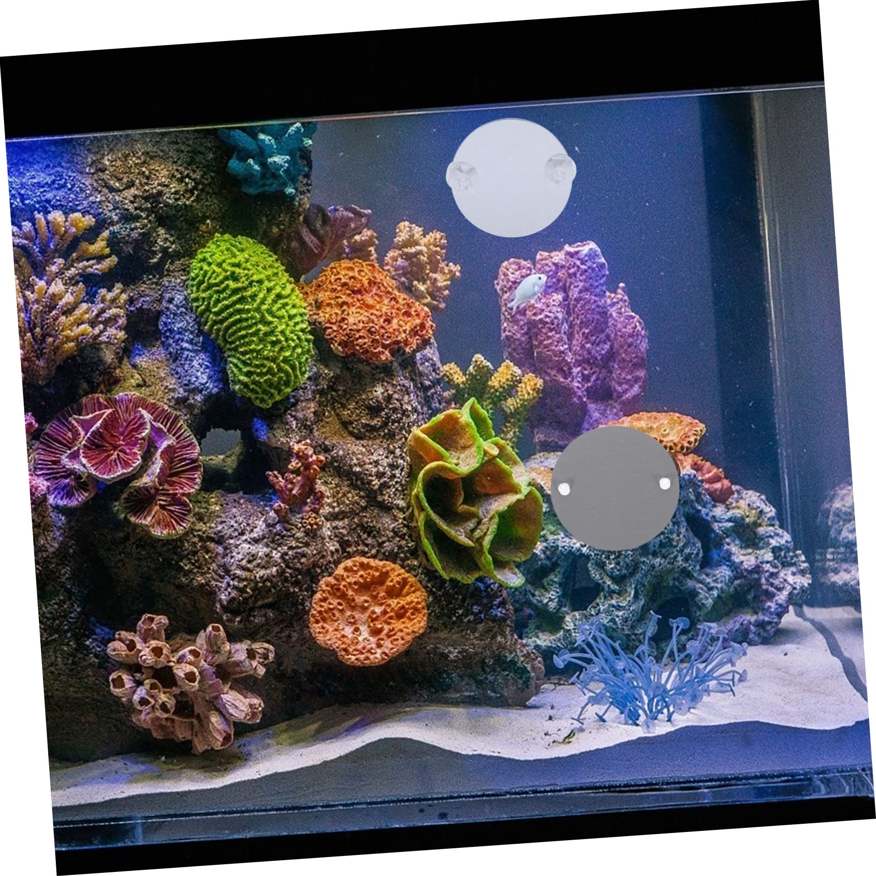 Mipcase 30piezas Espejo De Acuario para Betta Ventosa De Decorativas para Peceras Espejos Entrenadores para Betta Accesorios para Acuarios De Agua Dulce y Salada