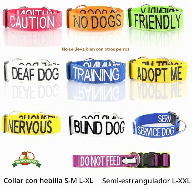 Foto 5 de 8 de Dexil Blind Dog (Dog Has Limited/No Sight)