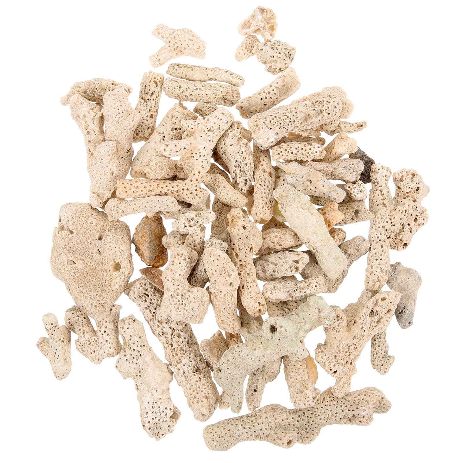Alipis Medio Filtrante de Coral Triturado: Biomedio Reutilizable para Acuarios con Bolsa de Malla - Estabilizador de Ph para Acuarios de Agua Dulce, Filtración de Estanques Y Decoración