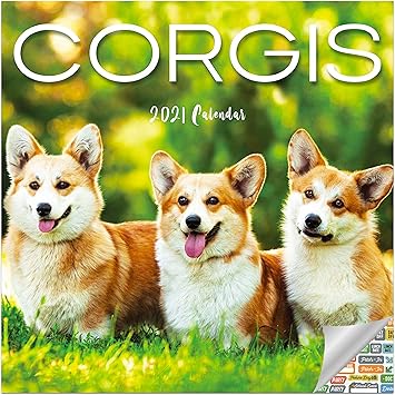 corgi gifts amazon