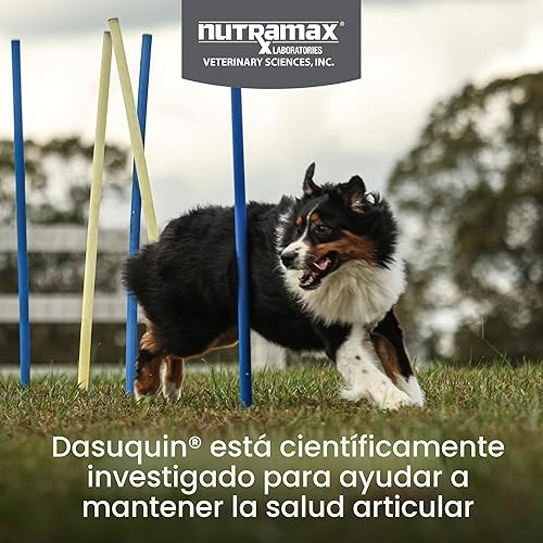 Miniatura 2 de Nutramax Dasuquin para perros grandes, suplemento de salud articular, contiene glucosamina para perros, además de condroitina, ASU, MSM y más, apoya