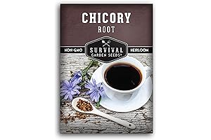 Root Chicory Seed for Planting - 1 Packet with Instructions