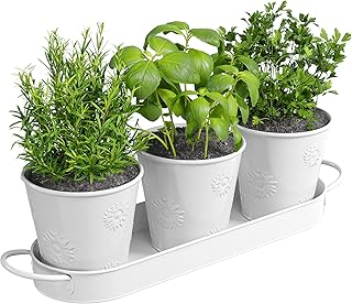 Barnyard Designs Farmhouse Herb Garden Planter Indoor Planter Set with Tray Outdoor Apartment Window Planter Box, Windowsill Planter Box, Indoor Herb Planter Garden Pots Herb Pots, White, Set/3