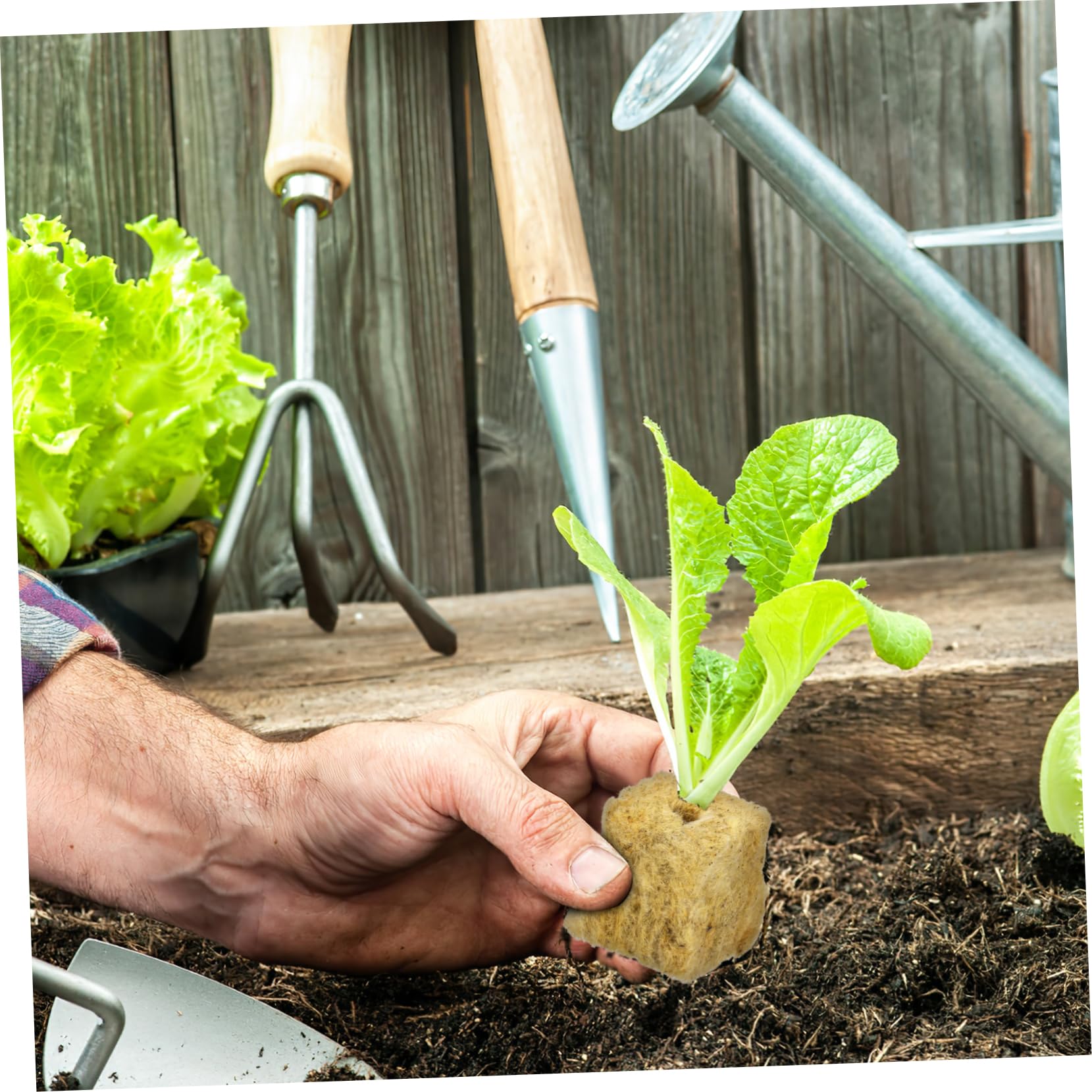 Toddmomy 5 Ensembles Cubes De Culture Hydroponique pour Bouturage Et Propagation De Plantes Bloc De Semis De Qualité Format pour Culture Soilless Et Transplantation 100 Pièces * 5