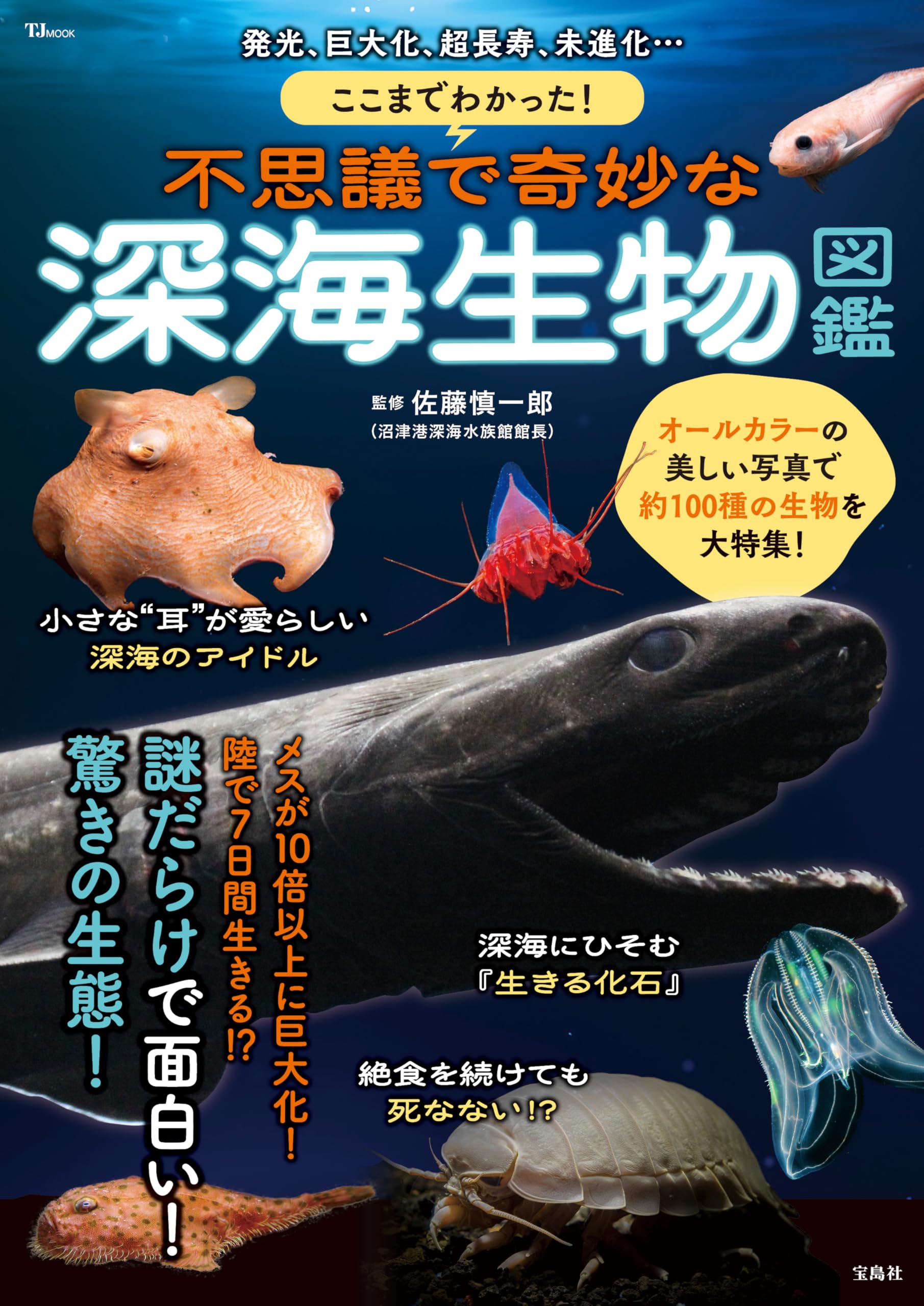 希少　深海松　青珊瑚　風鎮 Amazon.co.jp: ここまでわかった! 不思議で奇妙な深海生物図鑑 (TJMOOK