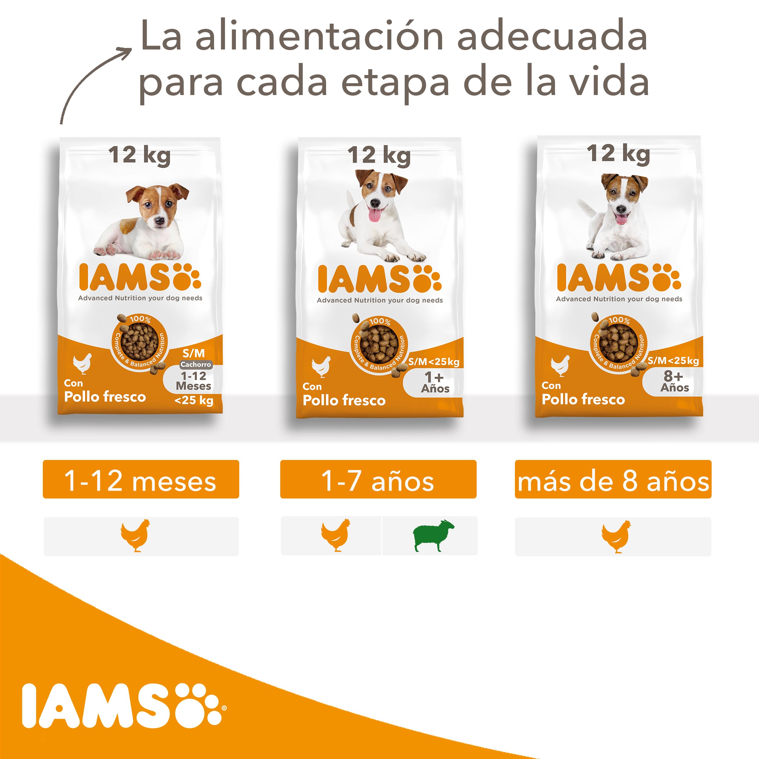 IAMS Alimento Seco Cachorros Razas Peq./Med., Pollo, 12kg