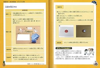 実験対決 (39) 『消化と栄養素の対決』 (実験対決シリーズ