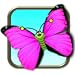 Butterfly Math
