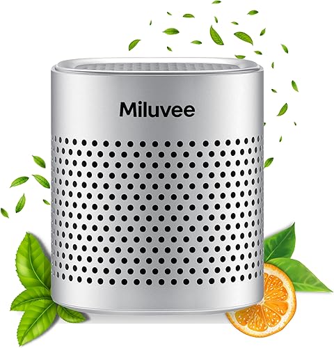 Premium Stainless Deodorizer