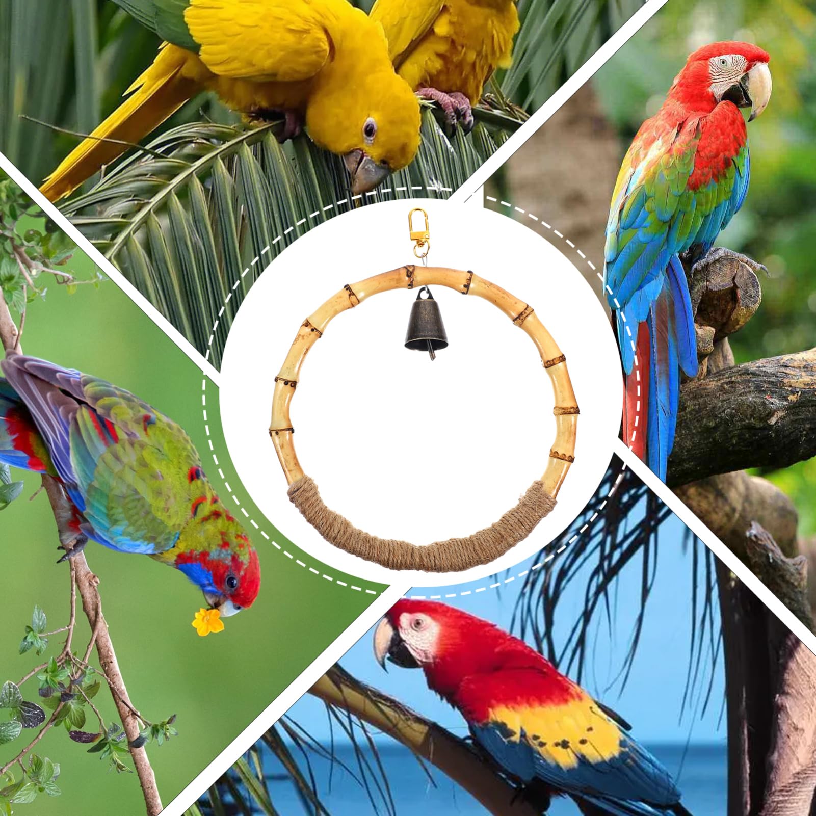 BESPORTBLE 5pièces Support Suspendu pour Oiseaux Jouet à Balançoire pour Perruches Et Perroquets Accessoire De Cage Pratique pour Détente Et Oiseaux