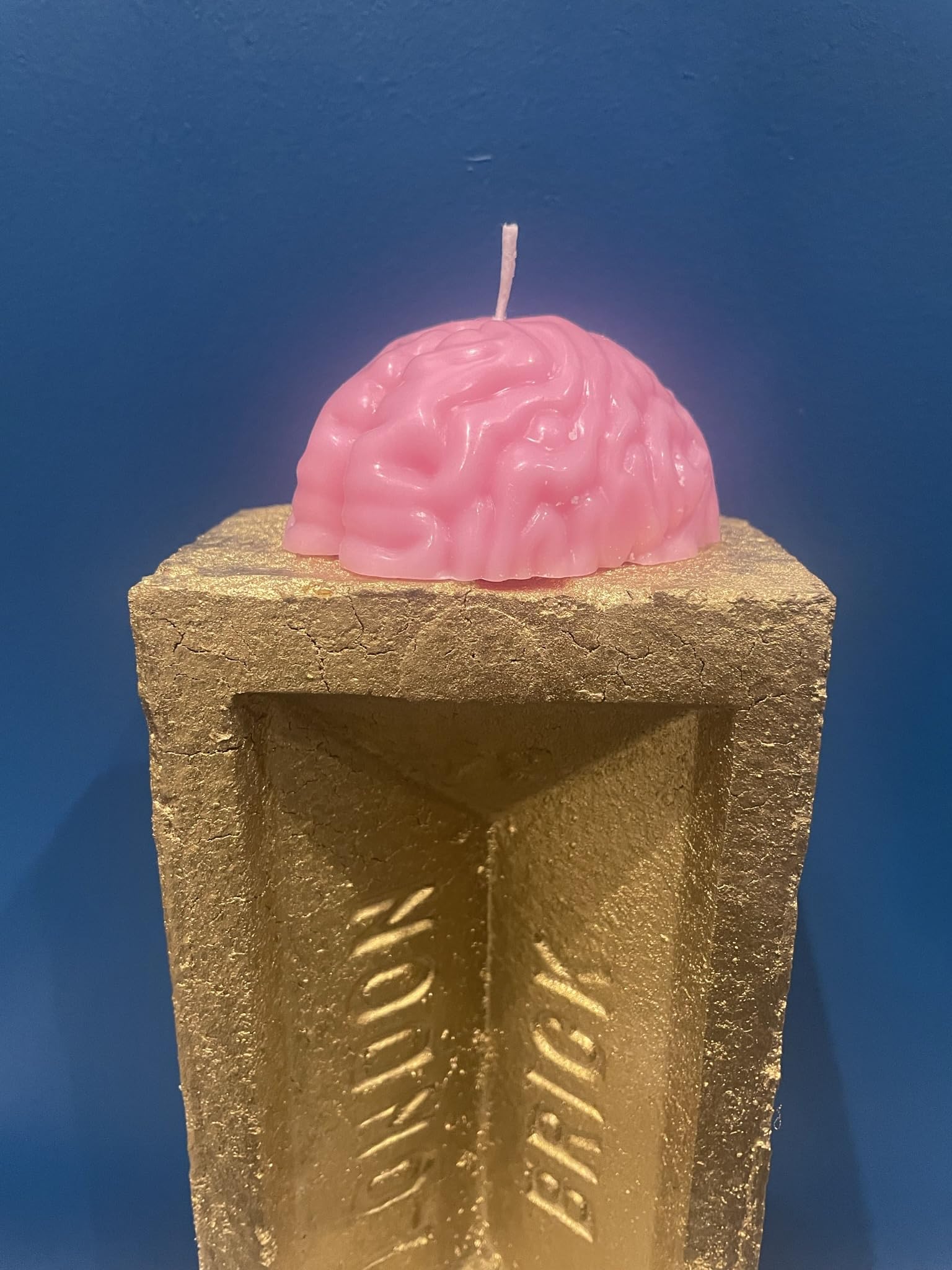 Mabel & Ivy Pink Gothic Brain Candle Body Part Spooky Human Brain Joke Novelty Soy Wax Candle
