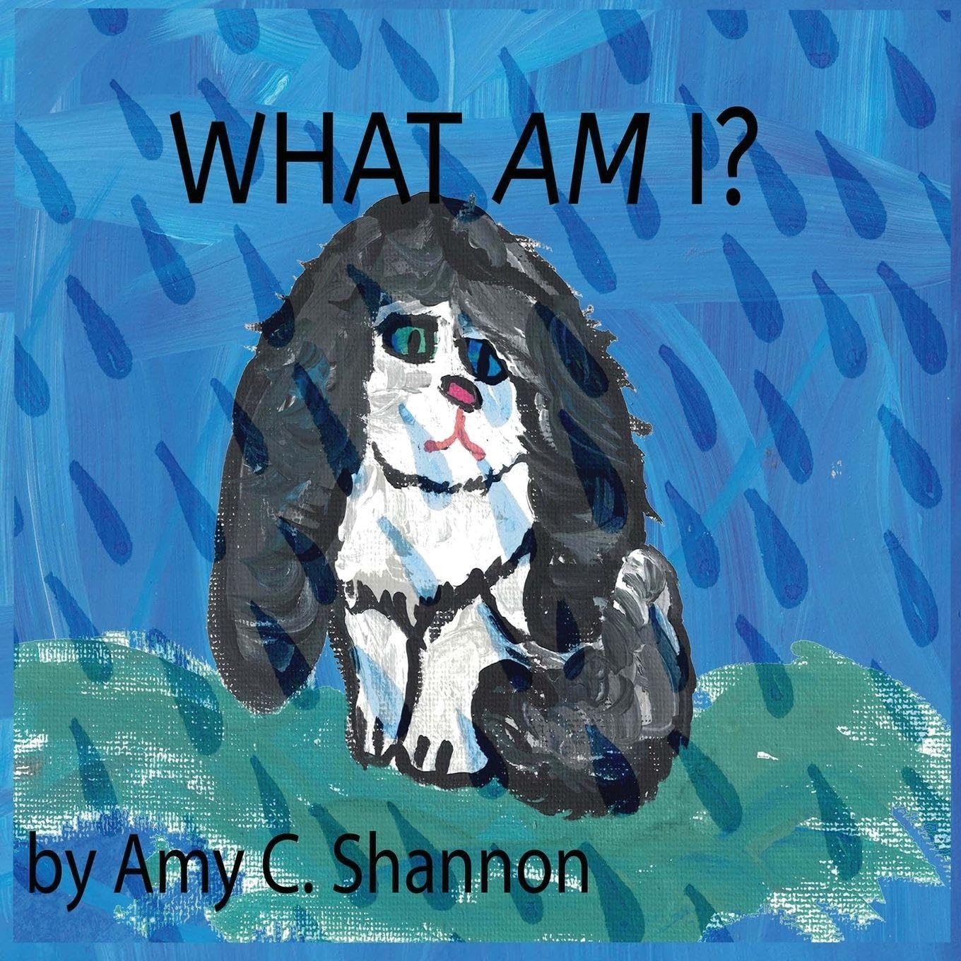 What Am I?