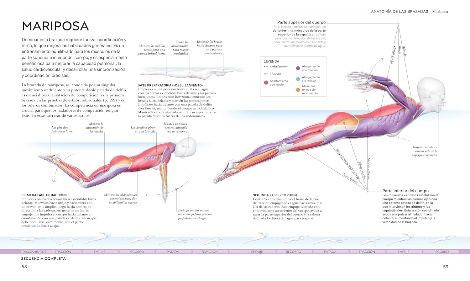 Natación (Science of Swimming) (The Science of Fitness) (Spanish Edition)      Paperback – February 10, 2026