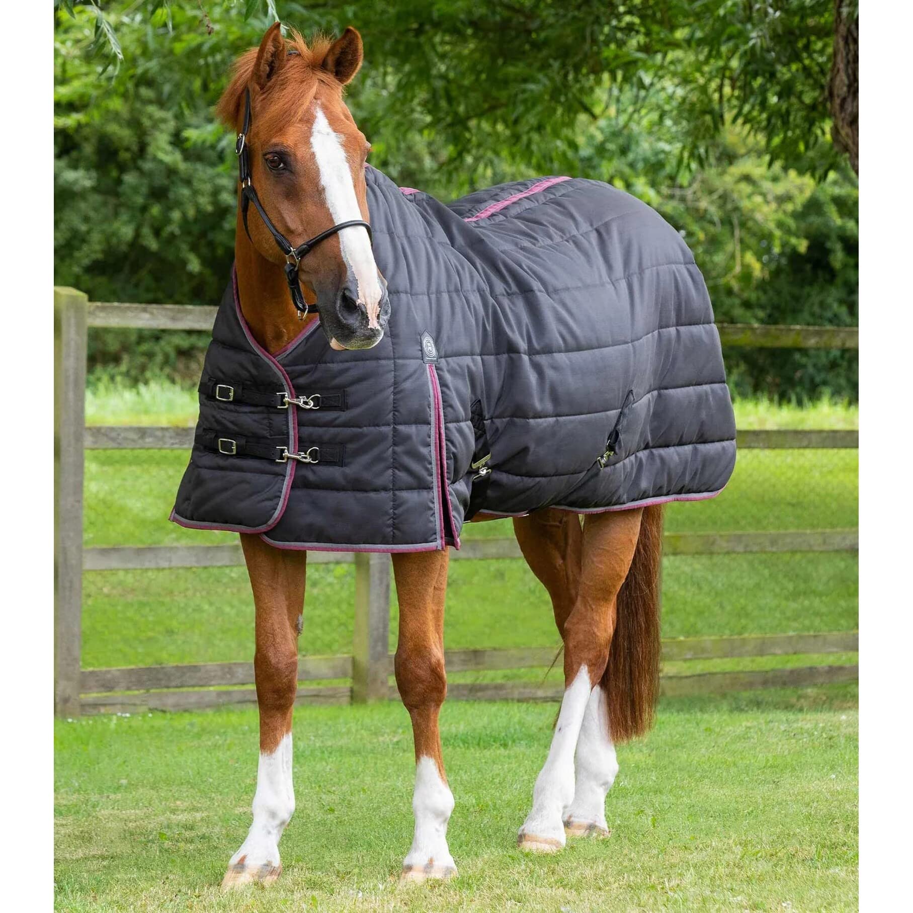 Premier Equine Manta de establo para Caballo Garissa 200 g