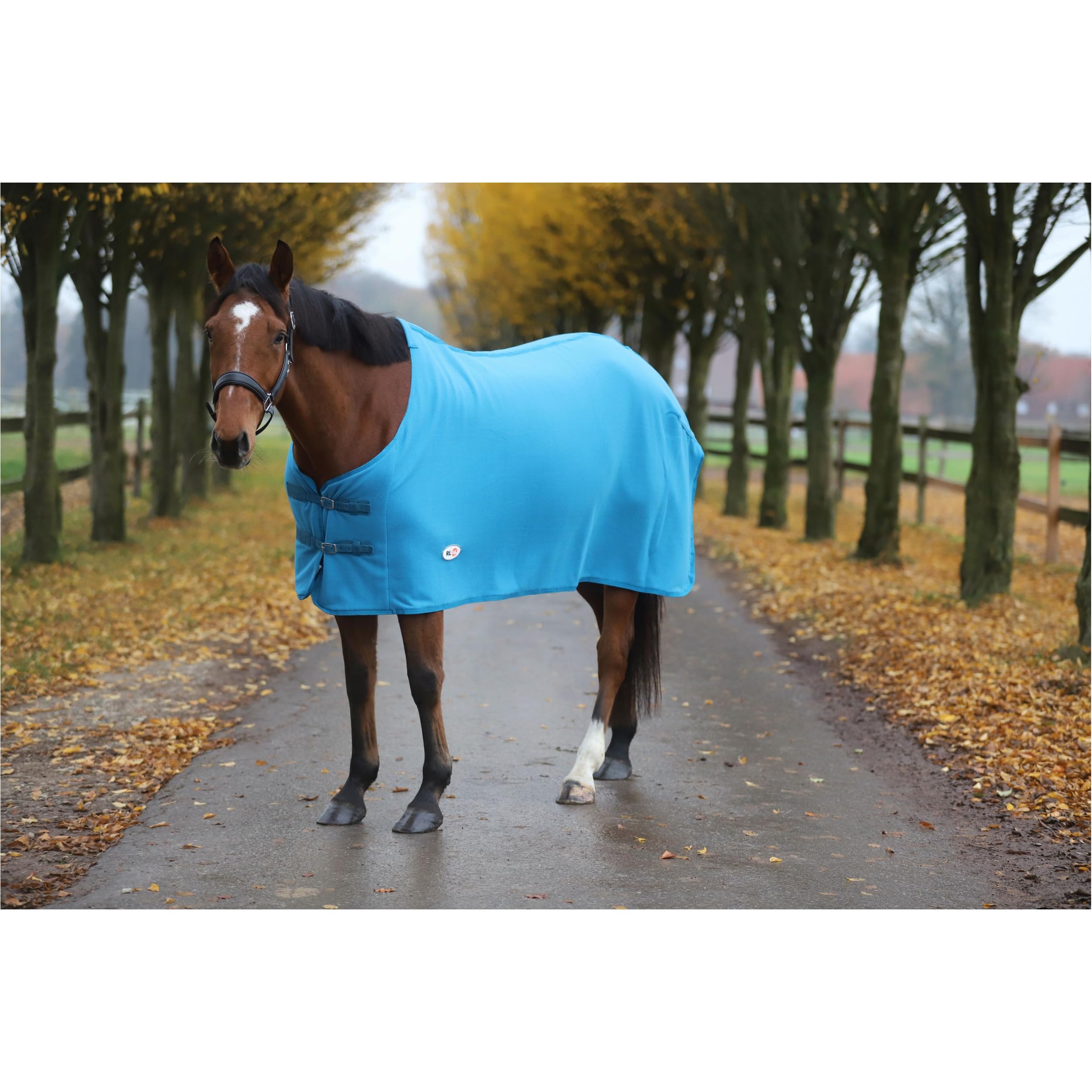 RL24 - Abschwitzdecke Basicline – Pferdedecke mit Schweifkordel, Widerristpolster & Metallverschluss – atmungsaktive Fleecedecke – Pferde Zubehör – Transportdecke in Petrol – 95cm