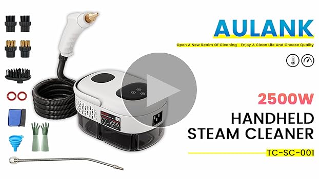 Amazon.com - 2500W Handheld Steam Cleaner,Portable Car