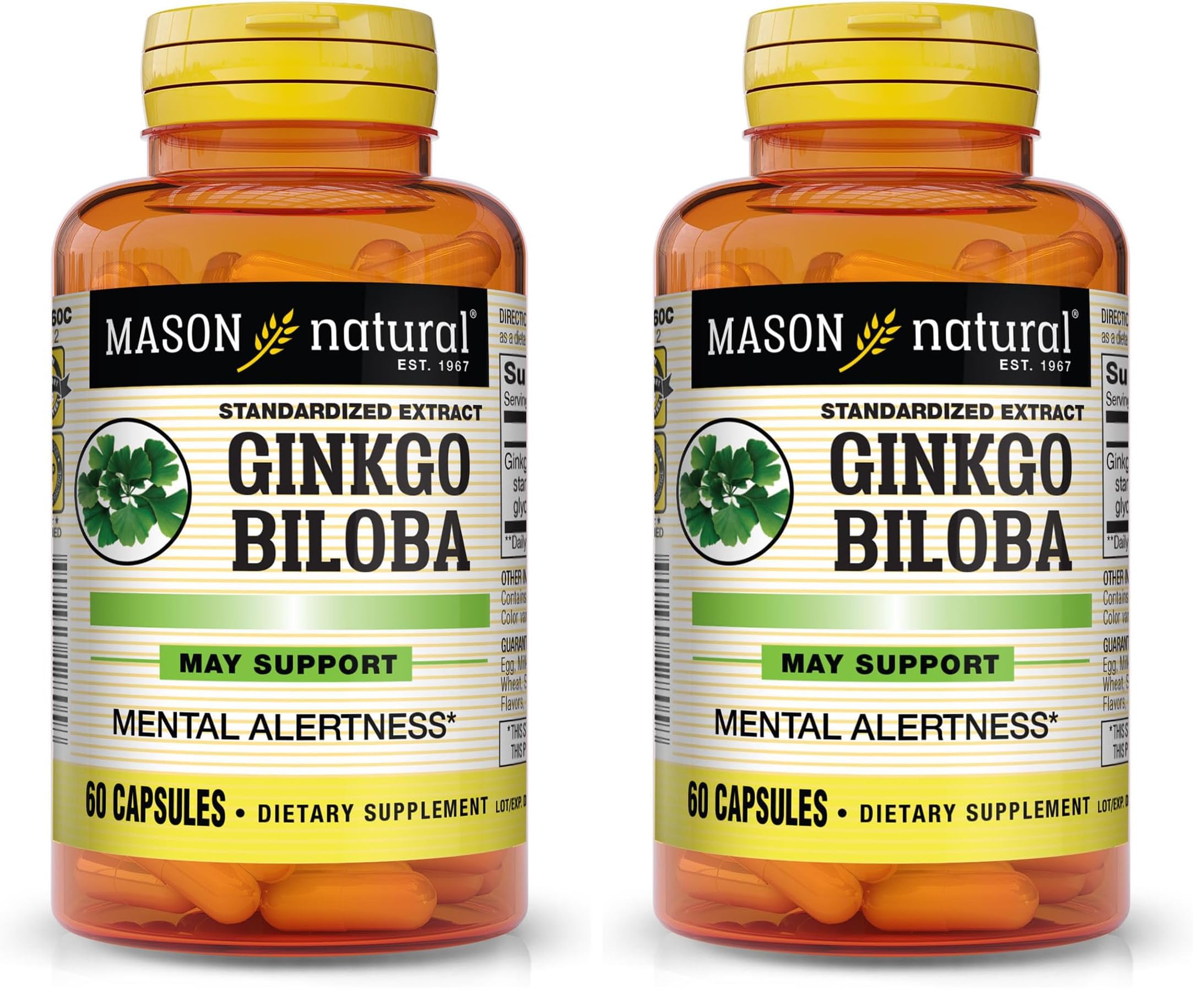 MASON NATURAL Ginkgo Biloba - Improve Mental Alertness, Supports Optimal Brain Function, Herbal Supplement, 60 Capsules (Pack of 2) 60 Count (Pack of 2)