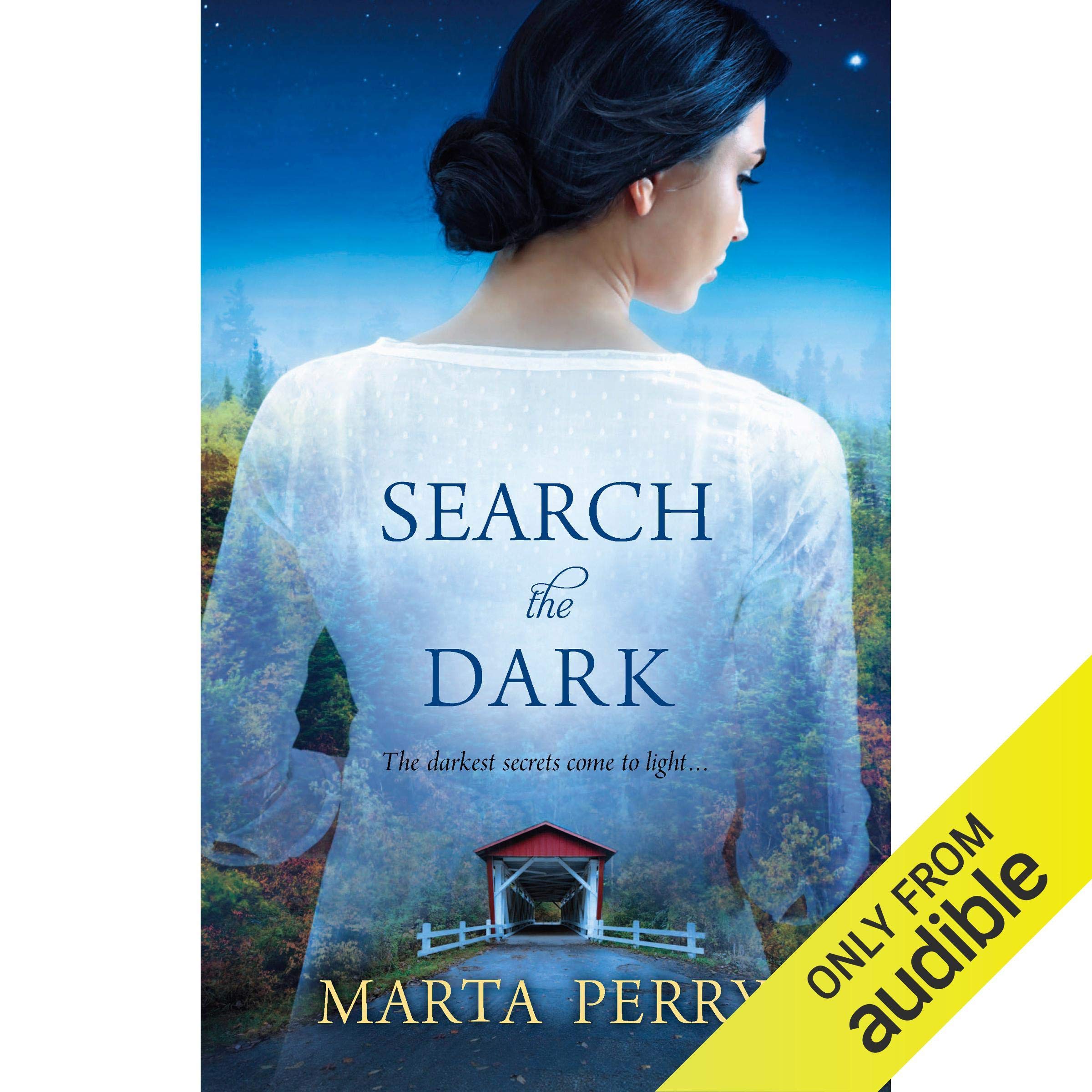 Cover art for Search the Dark